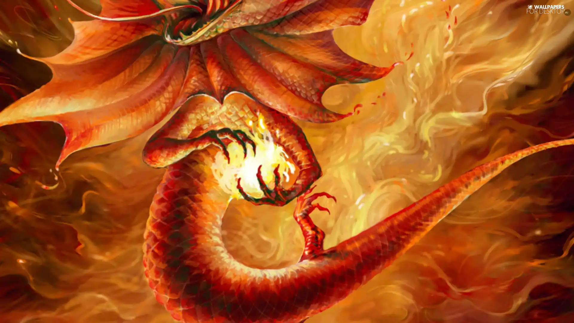 fire, Dragon, Orb