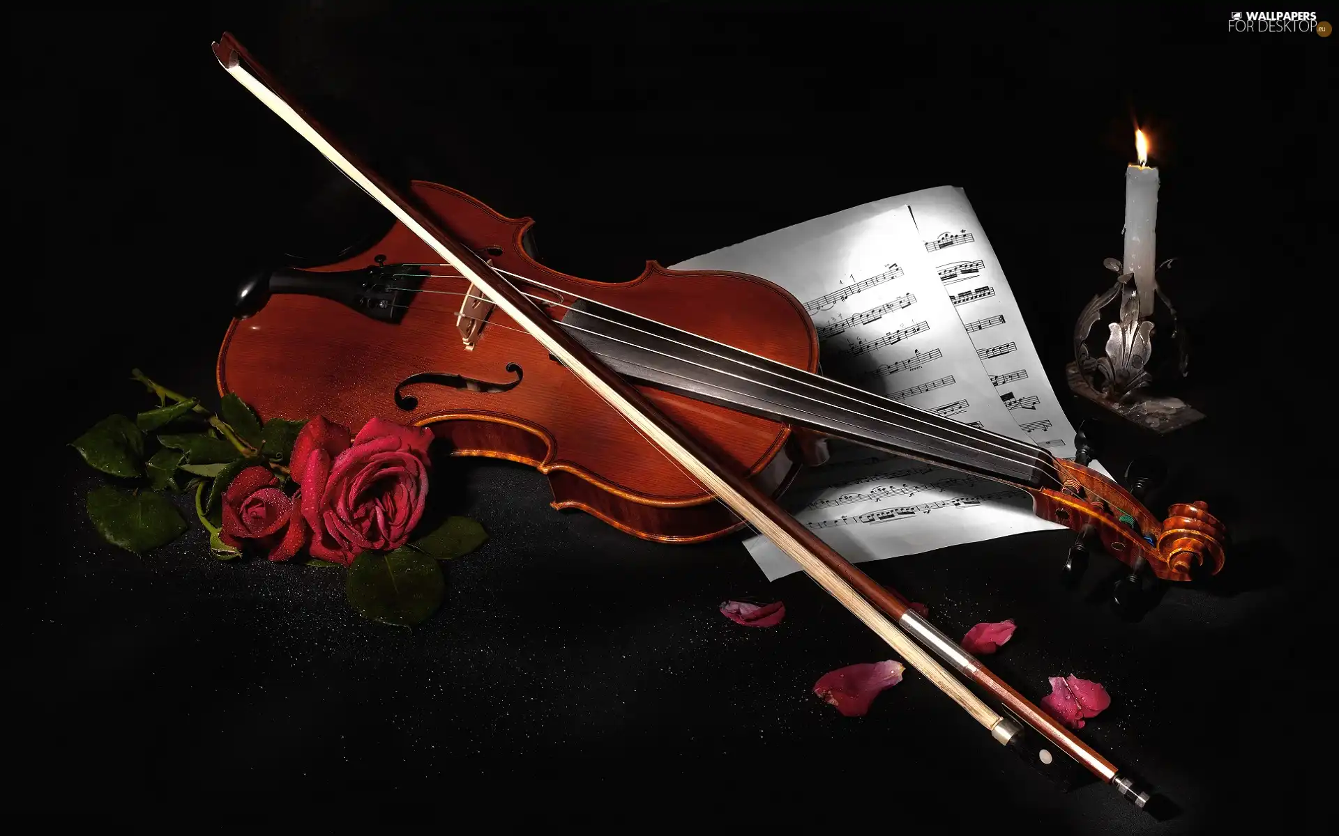 Tunes, violin, roses, flakes, Candle, bow