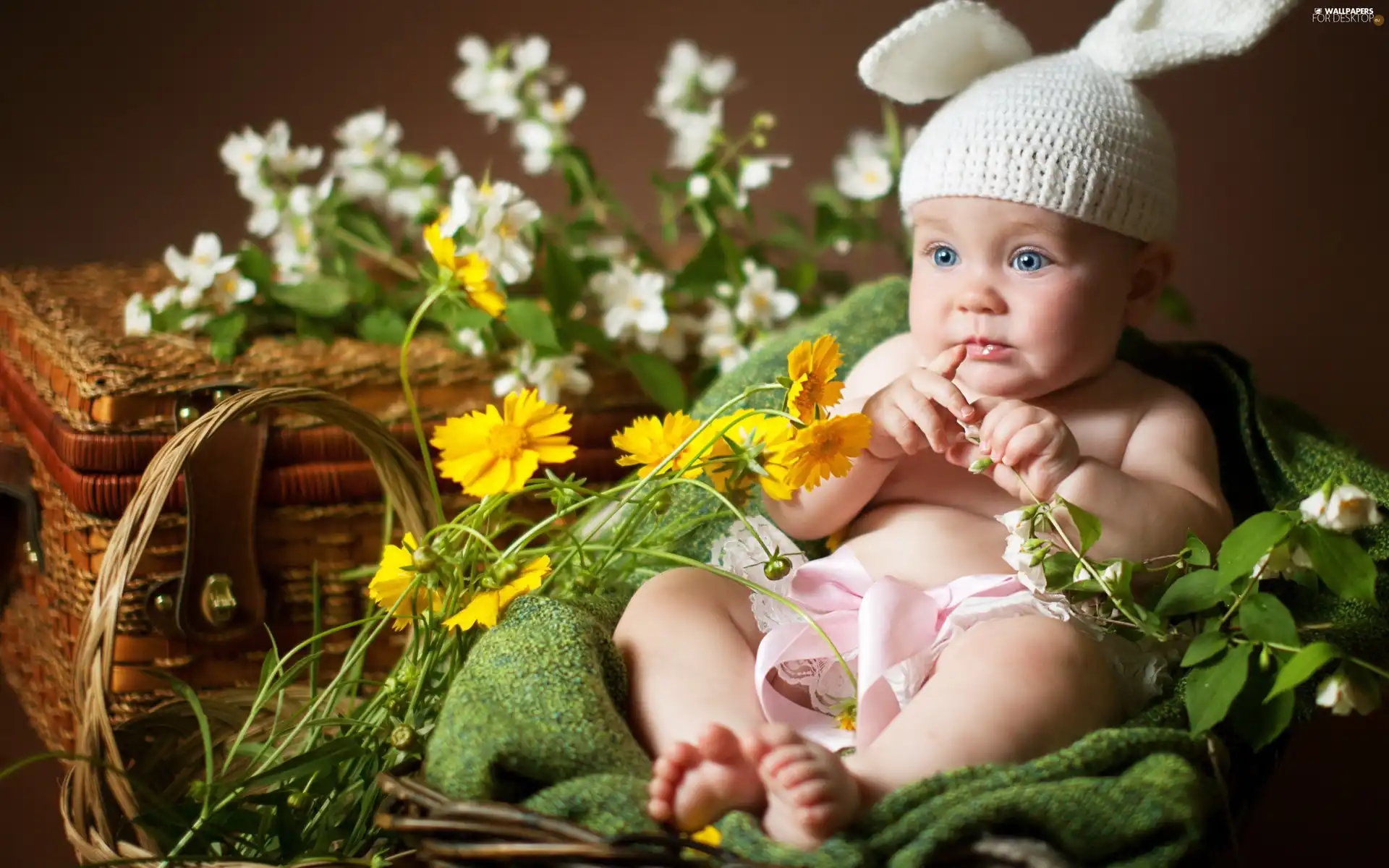 Flowers, Baby, basket