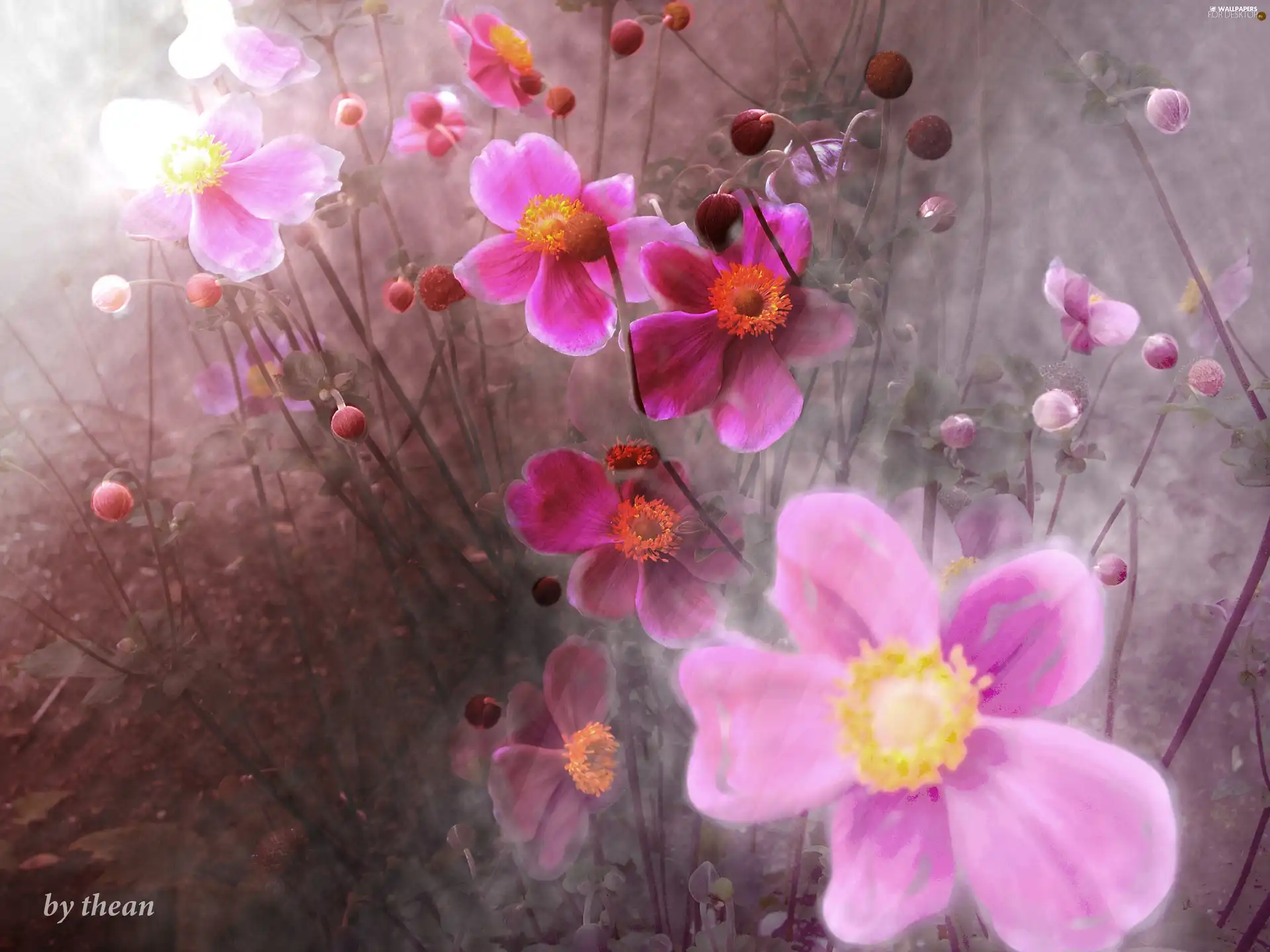 Flowers, color, blur