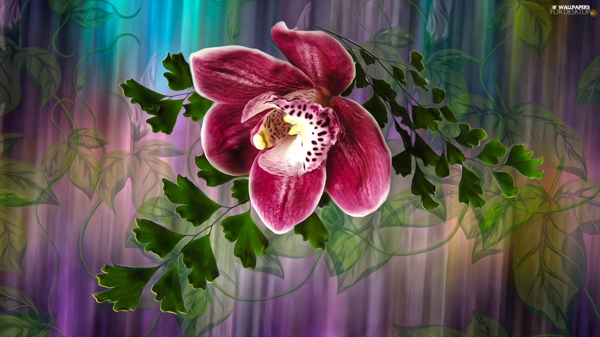 Colourfull Flowers, Leaf, graphics, orchid