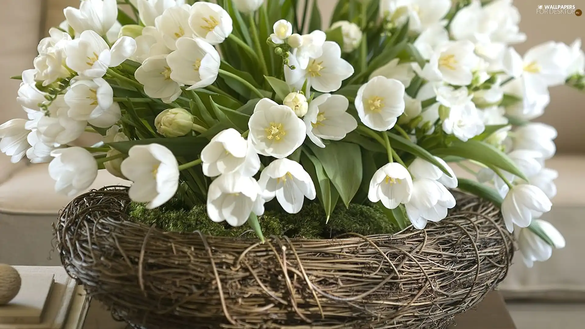 wicker, White, Flowers, basket