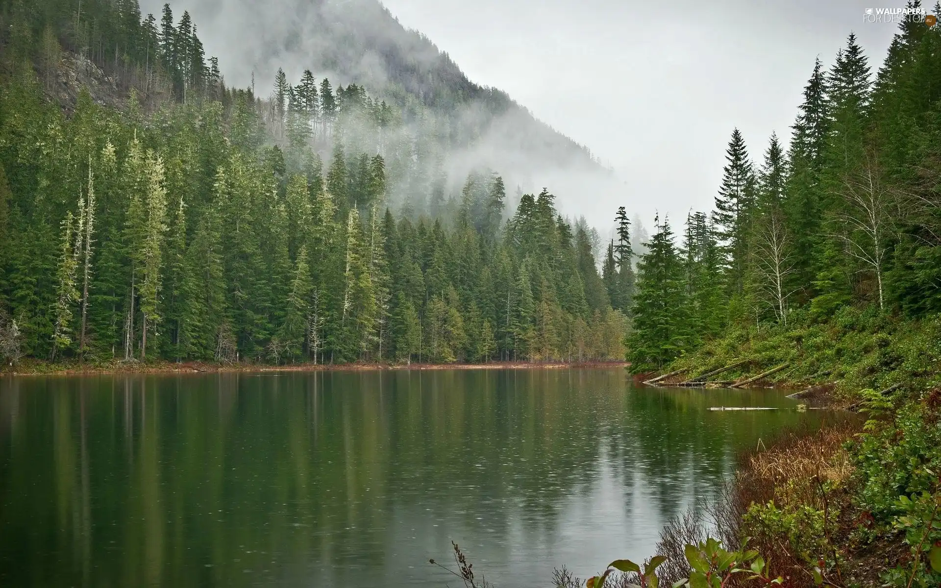 lake, Mountains, Fog, woods
