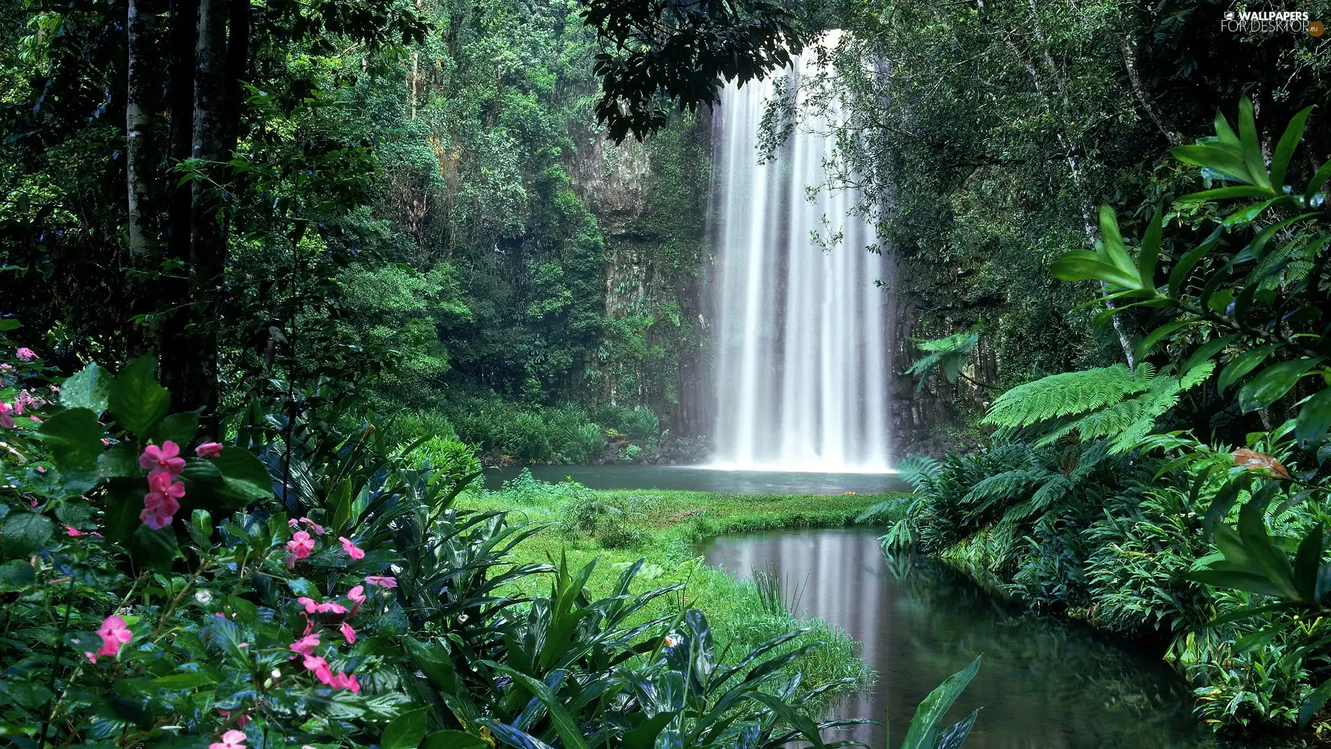 forest, waterfall, Flowers