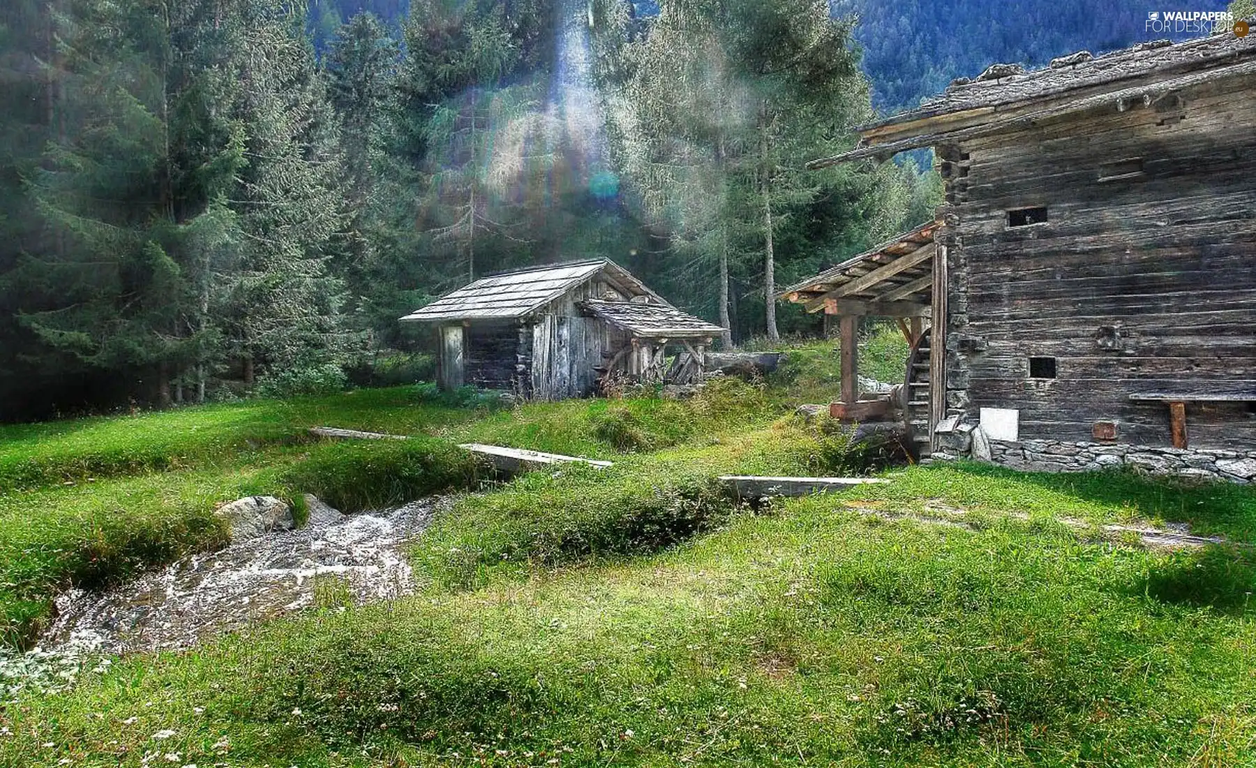 huts, stream, forest, Windmill