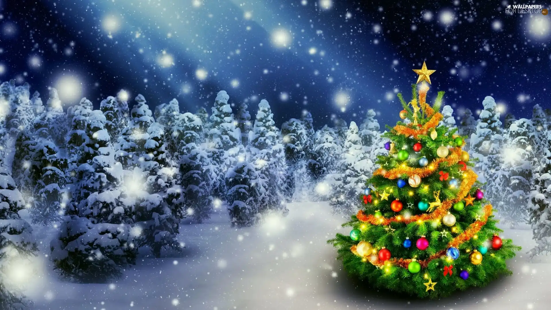 christmas tree, winter, forest, christmas