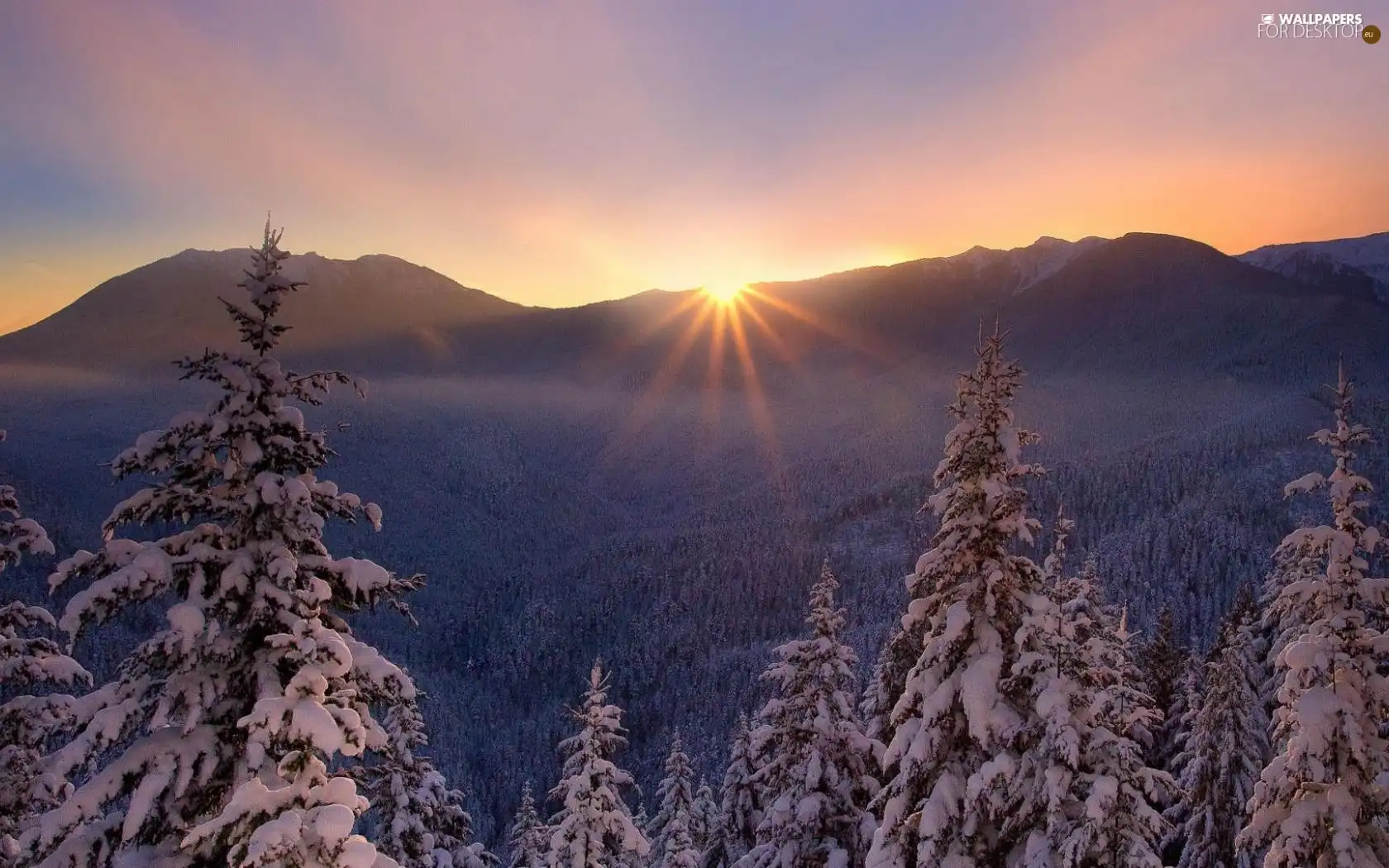 forest, winter, sun, Mountains, rays
