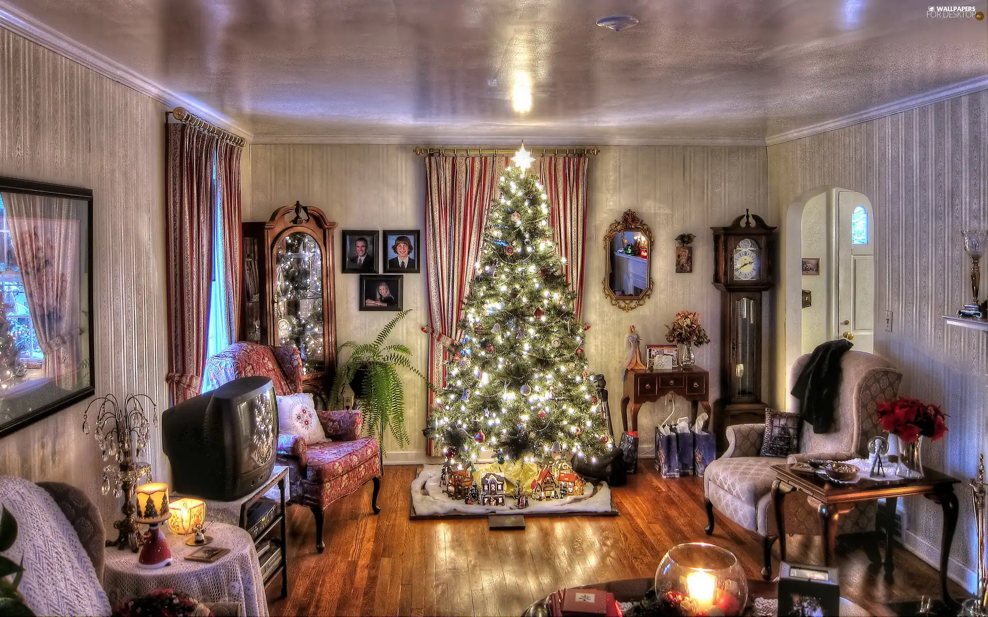 Room, christmas tree, furnished