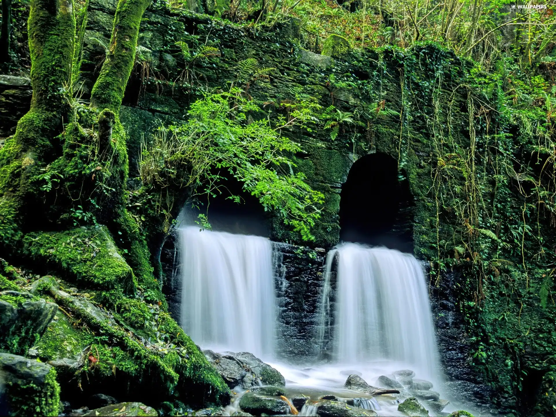 waterfall, Galicia