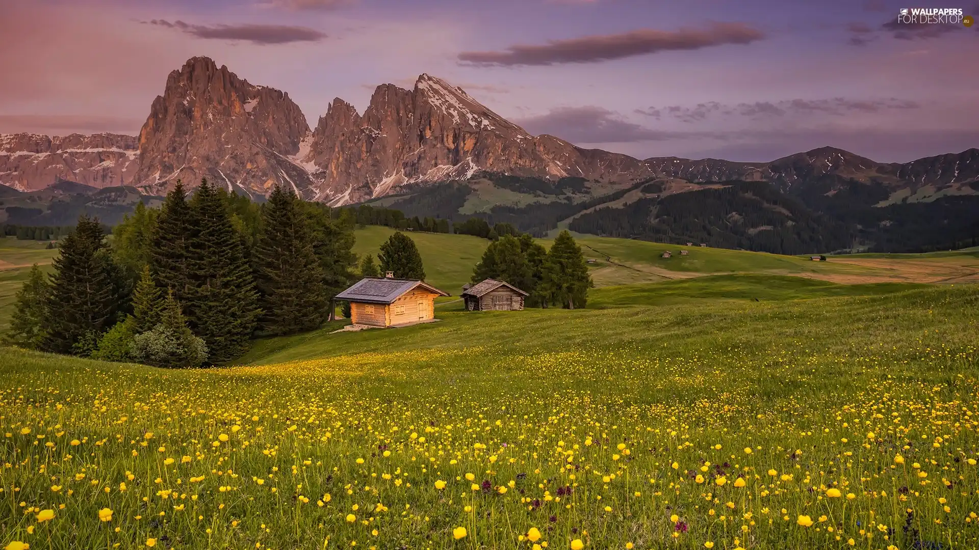 clouds, trees, Flowers, Seiser Alm Meadow, Italy, Houses, Sassolungo Mountains, wood, Valley, Dolomites, viewes, Meadow, Val Gardena