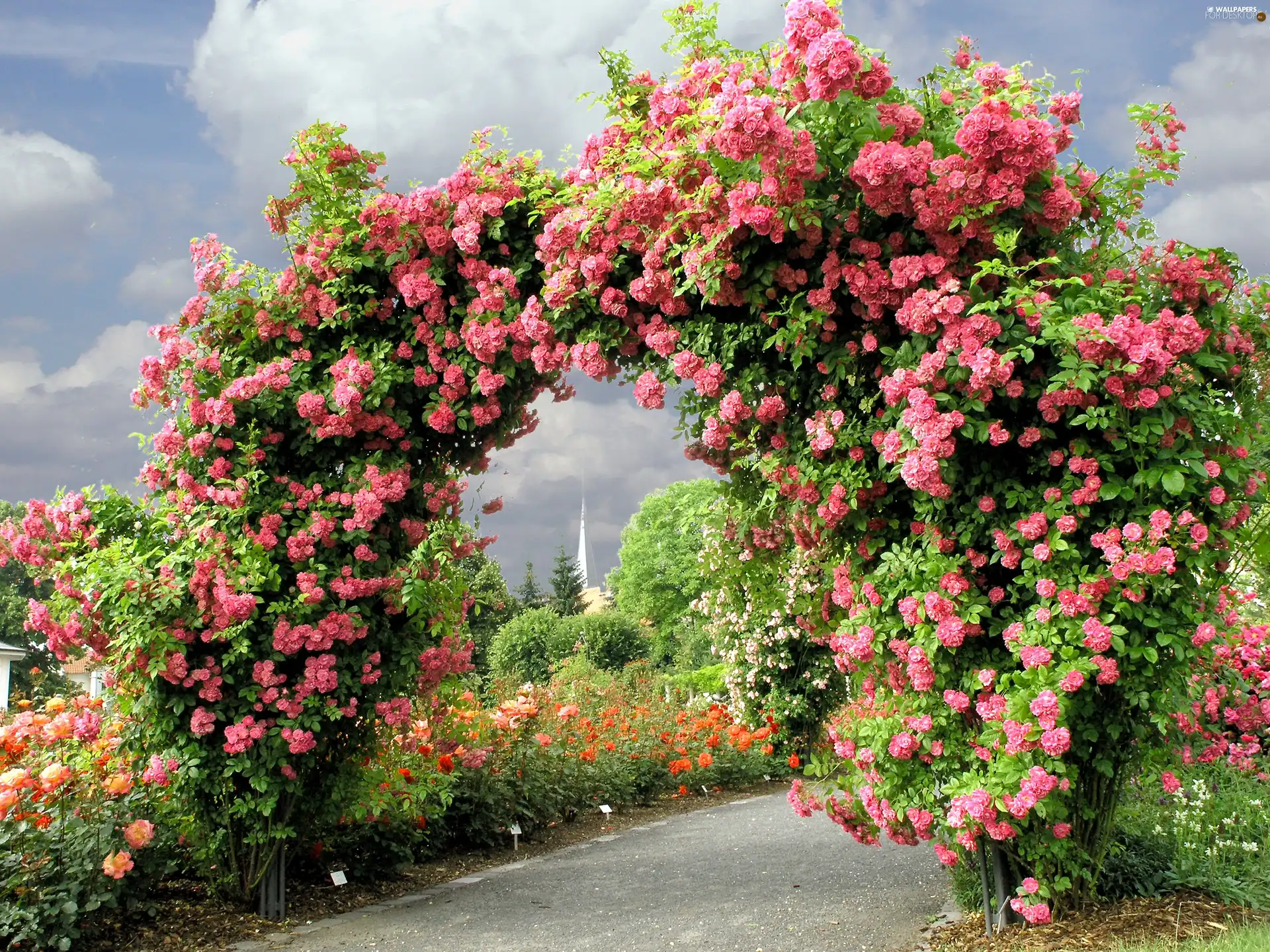 Gate, Garden, rosy
