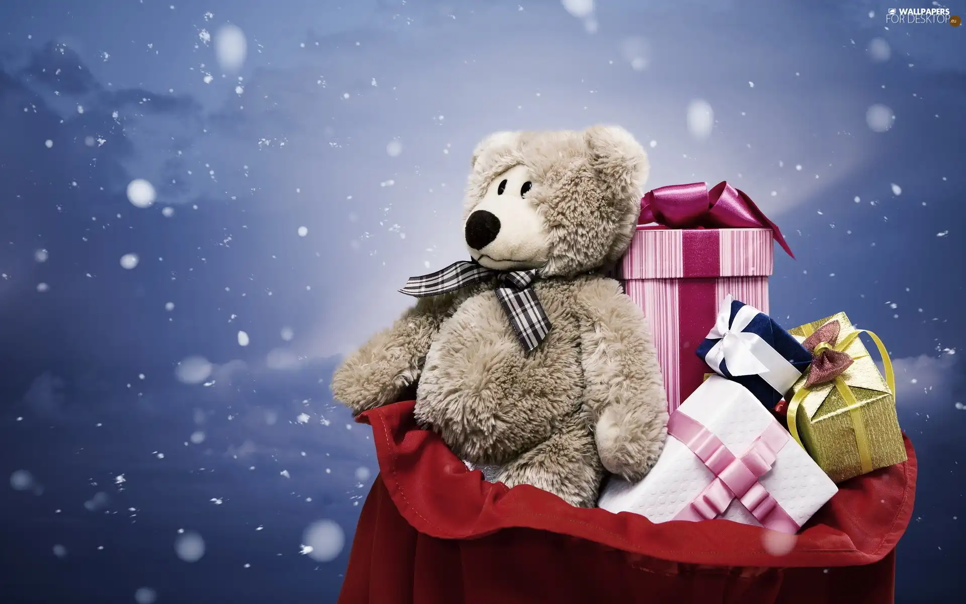 Christmas, teddy bear, gifts