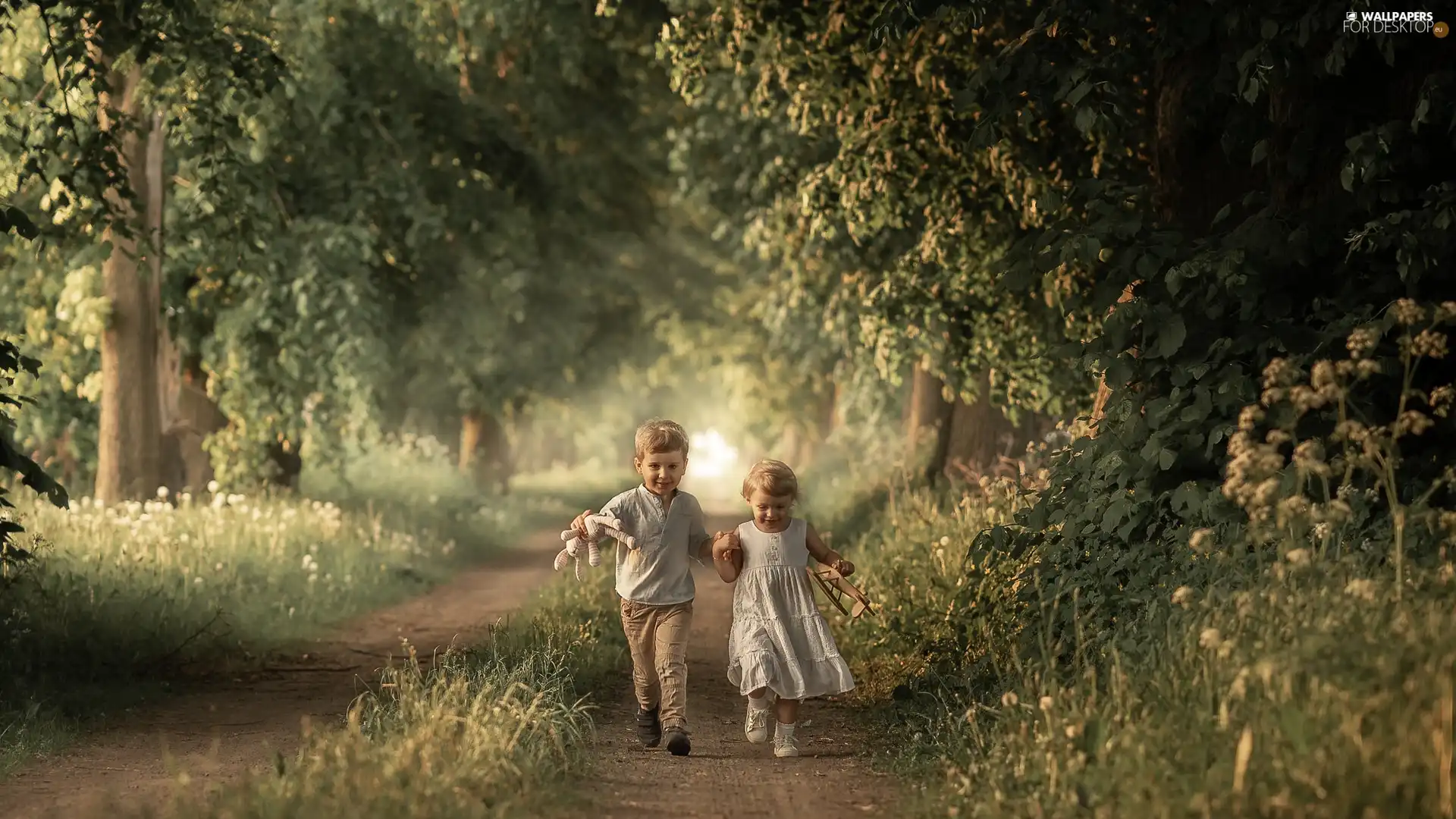 trees, boy, forest, girl, Kid, viewes, Way