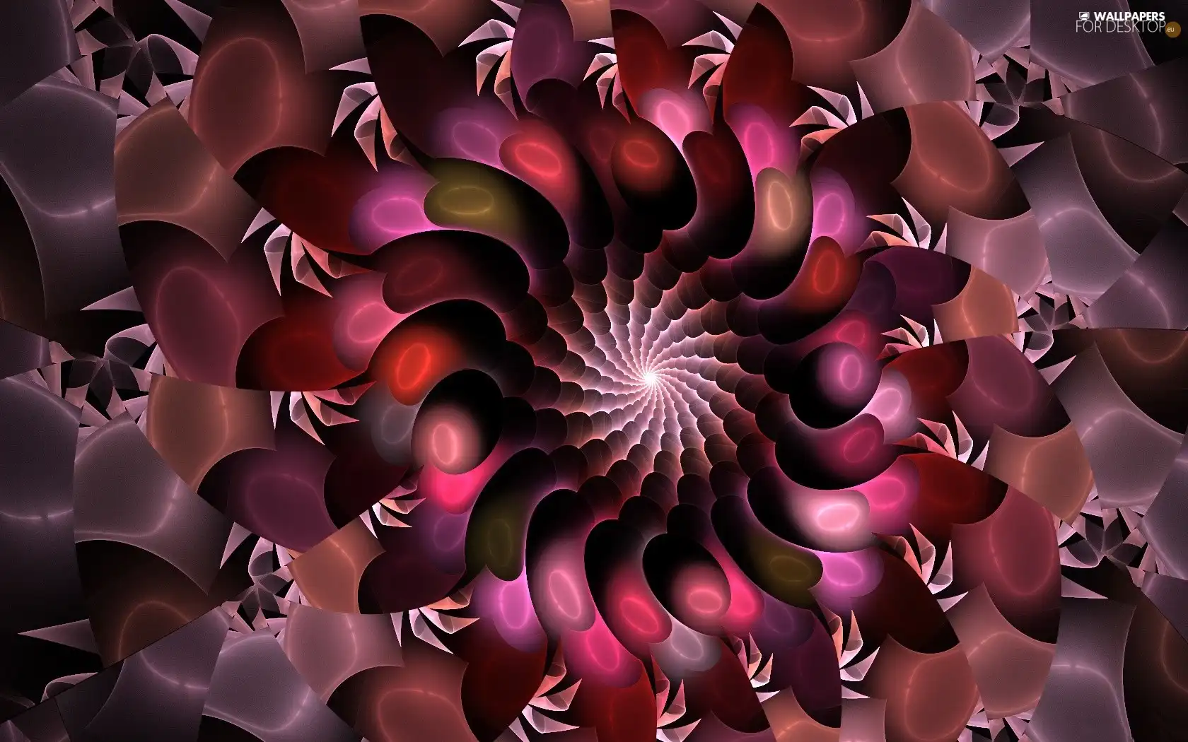 Claret, abstraction, graphics, rosette