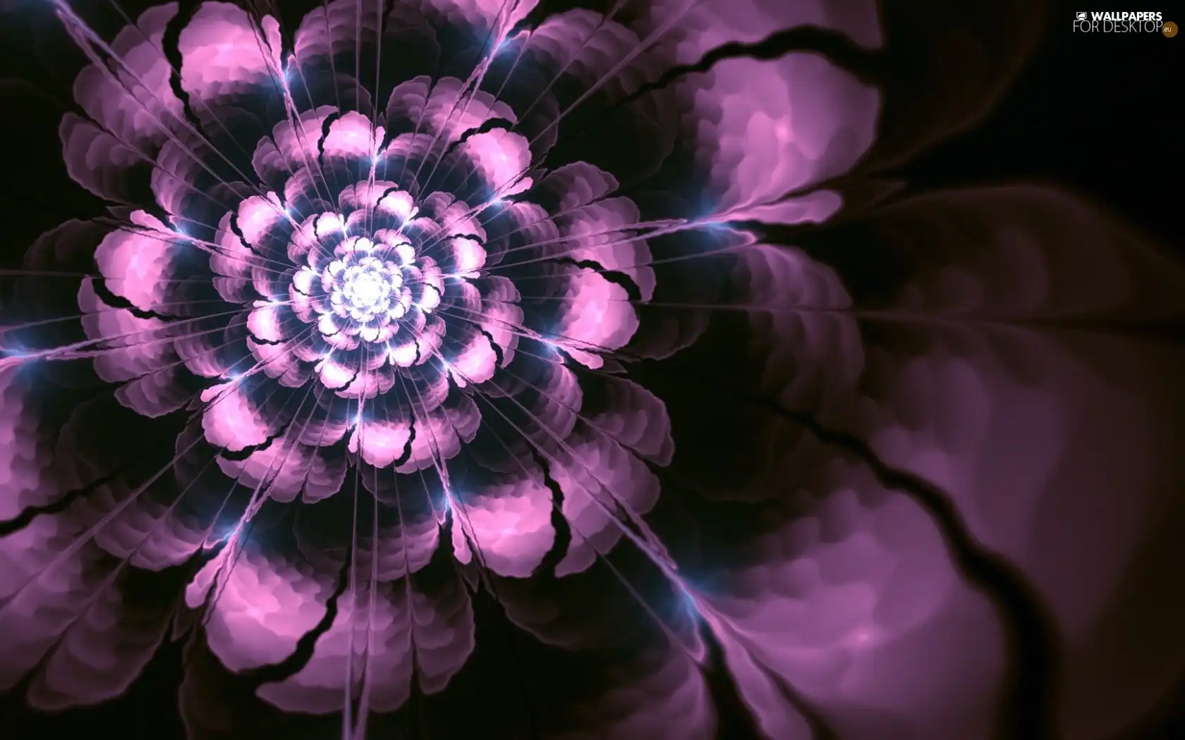 Violet, abstraction, graphics, Colourfull Flowers