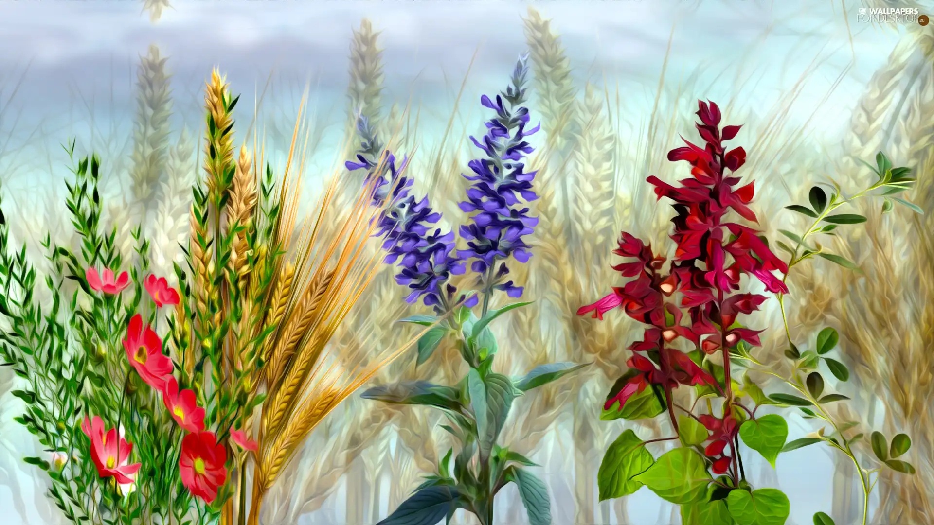 graphics, Flowers, corn