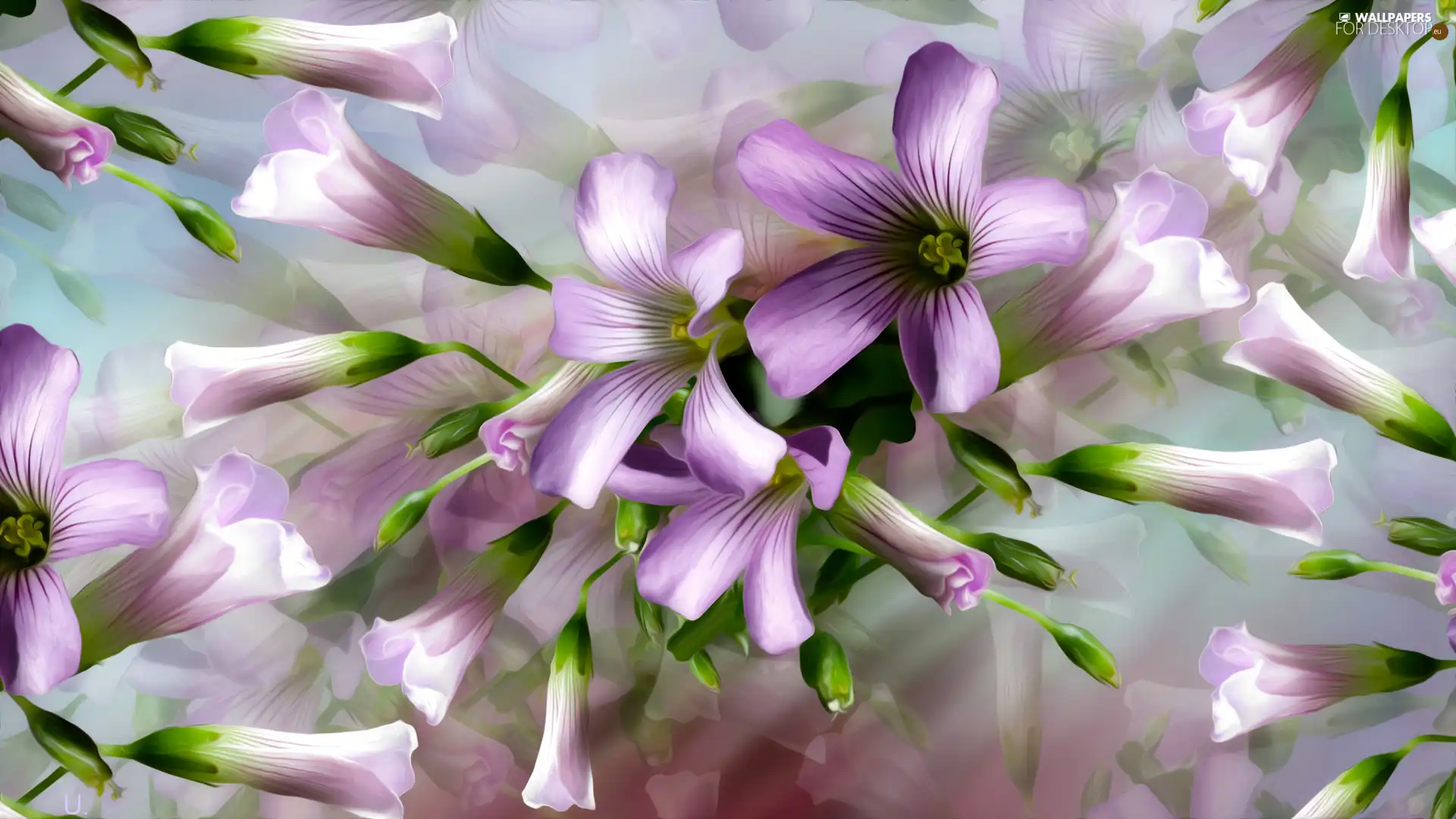 graphics, purple, Flowers