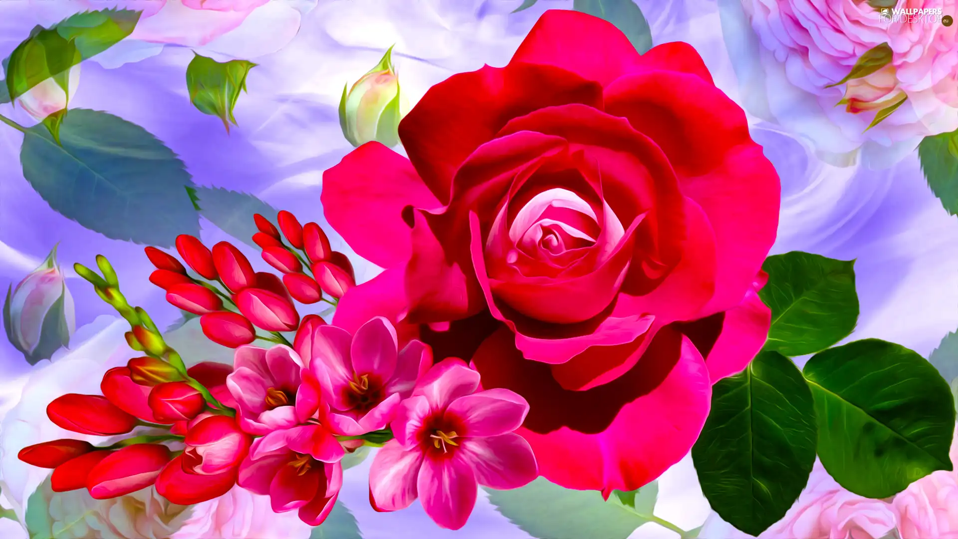 rose, graphics, Flowers, Freesias, Red