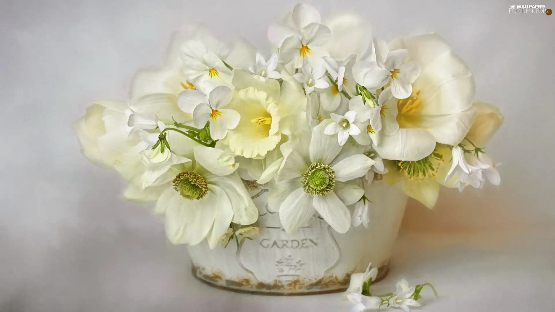 pot, graphics, Flowers, bouquet, White
