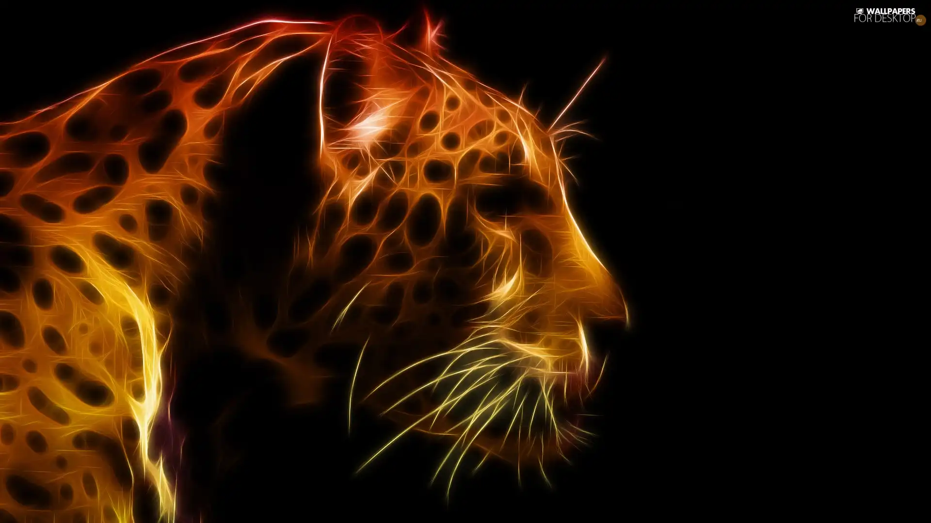 graphics, Leopards, spots