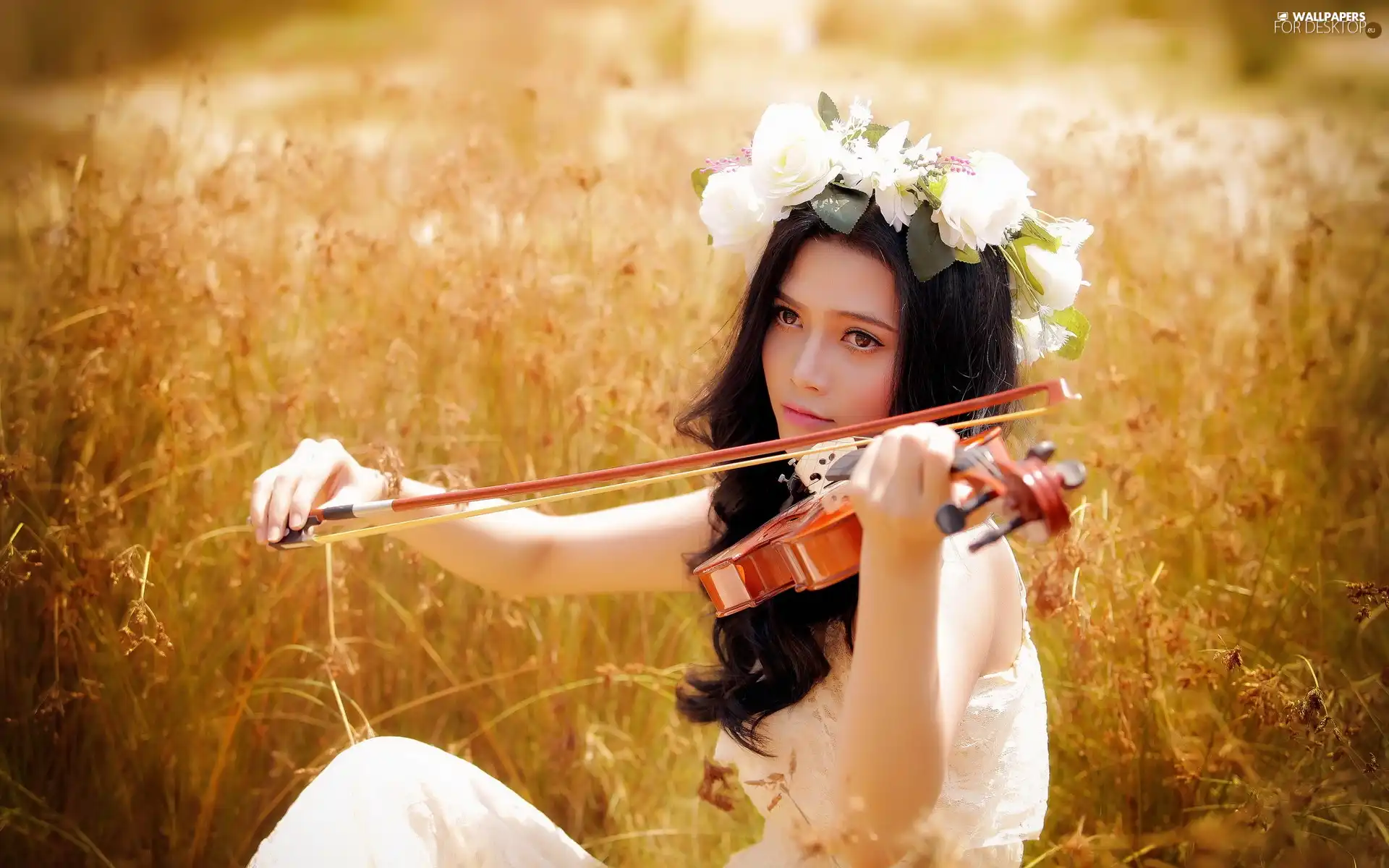 girl, Meadow, grass, violin