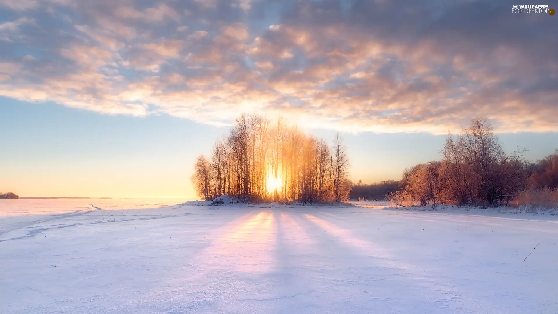 trees, winter, clouds, Great Sunsets, viewes, field