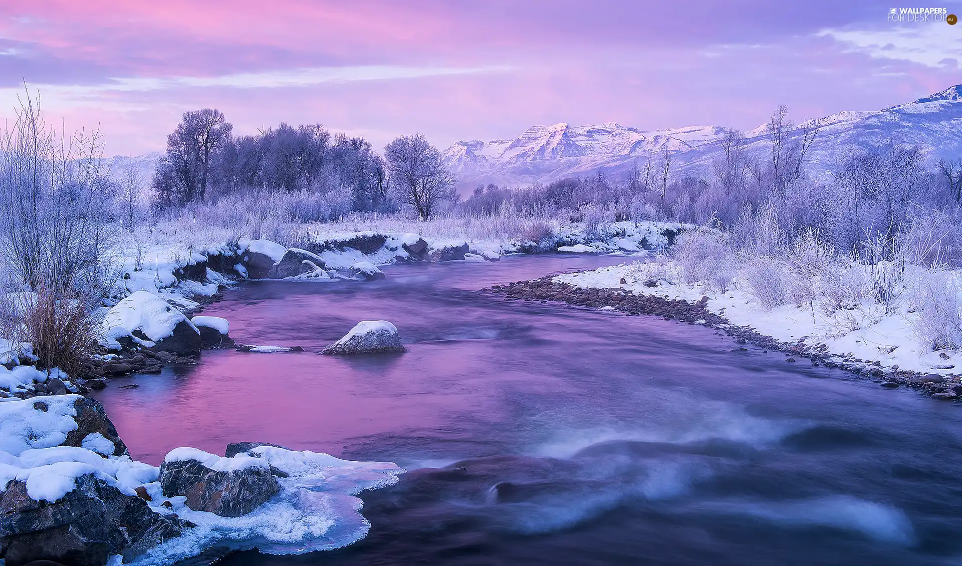 River, winter, viewes, Great Sunsets, trees, snow