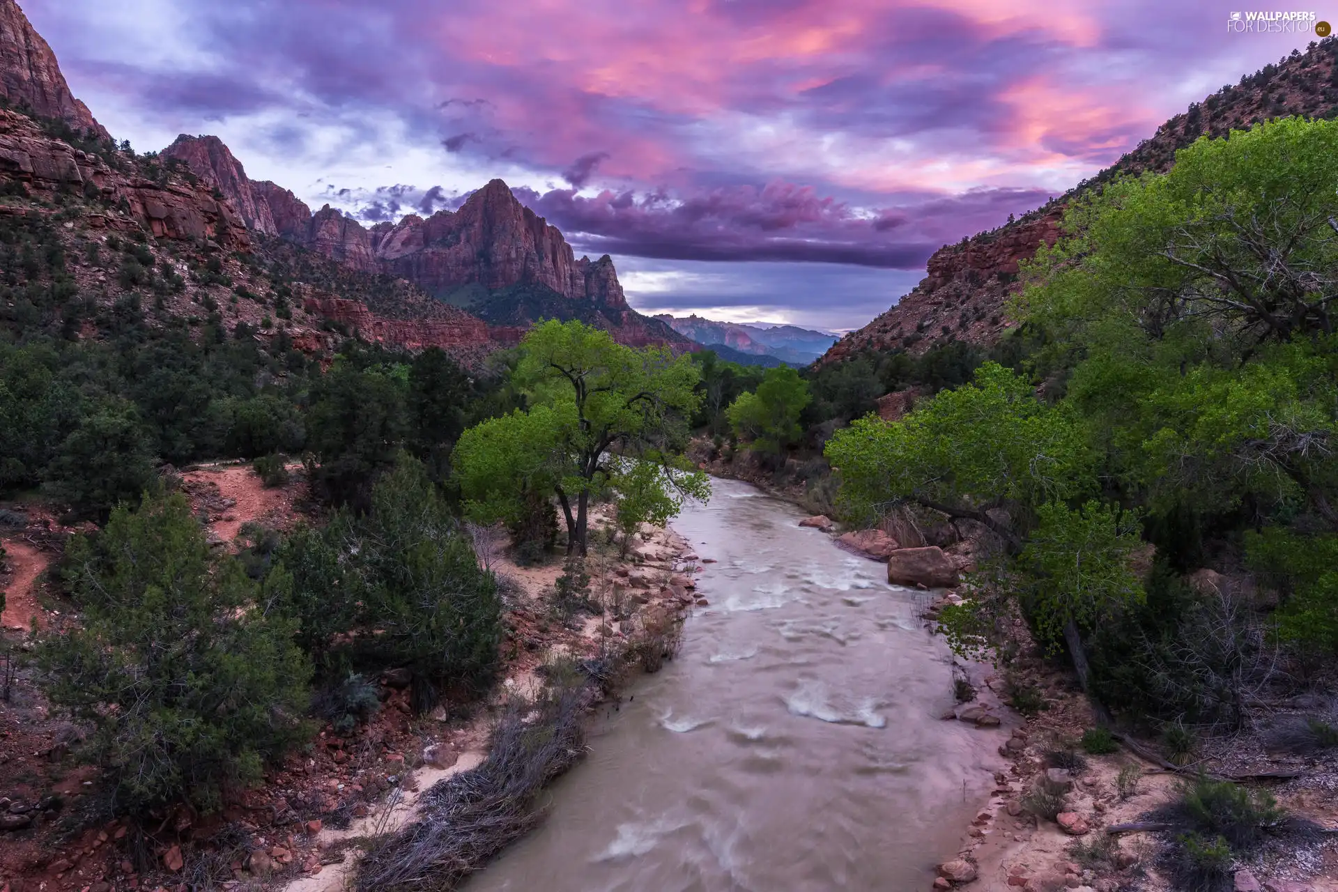 rocks, Virgin River, clouds, trees, Stones, Great Sunsets, Mountain Watchman, Zion National Park, The United States, viewes, River, Utah State