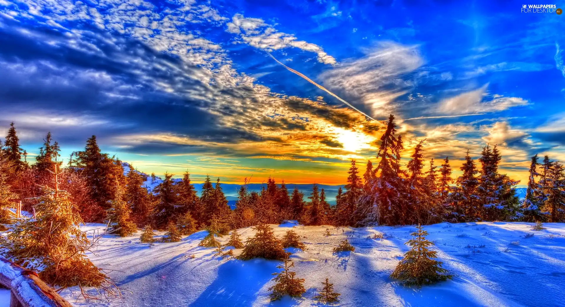 winter, clouds, Great Sunsets, woods