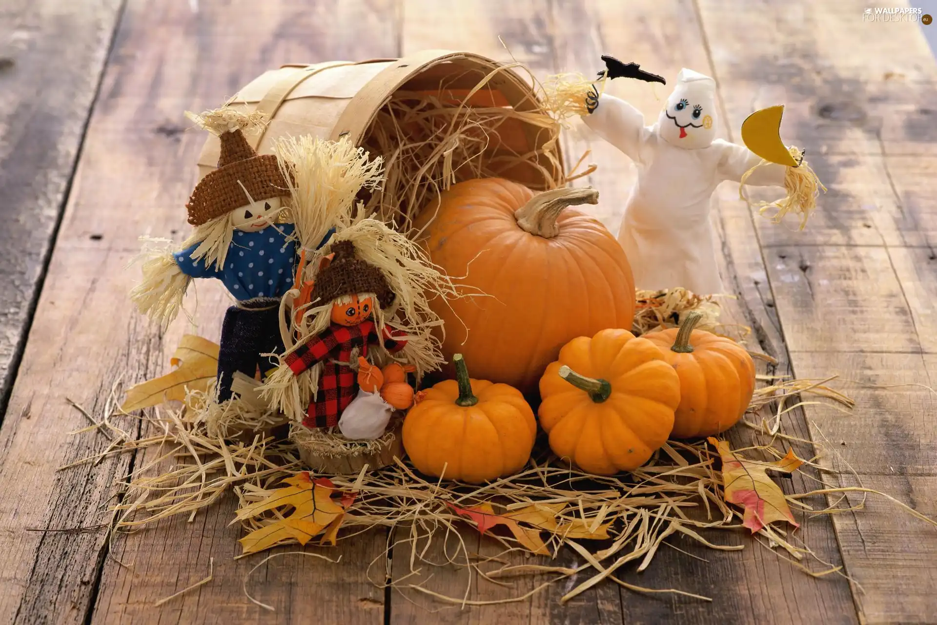 pumpkin, puppets, halloween, basket