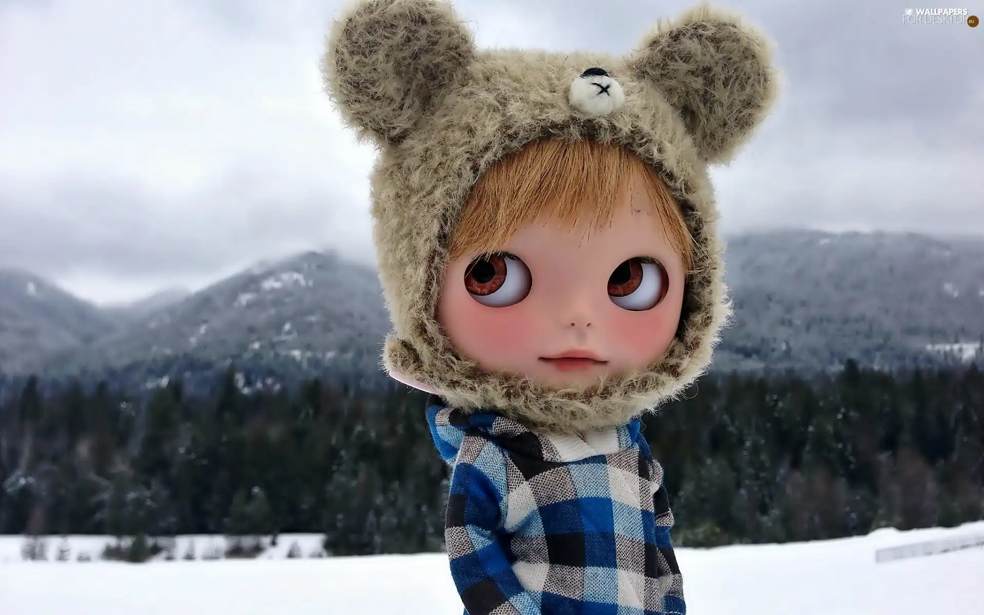 doll, Winter, Hat, toy