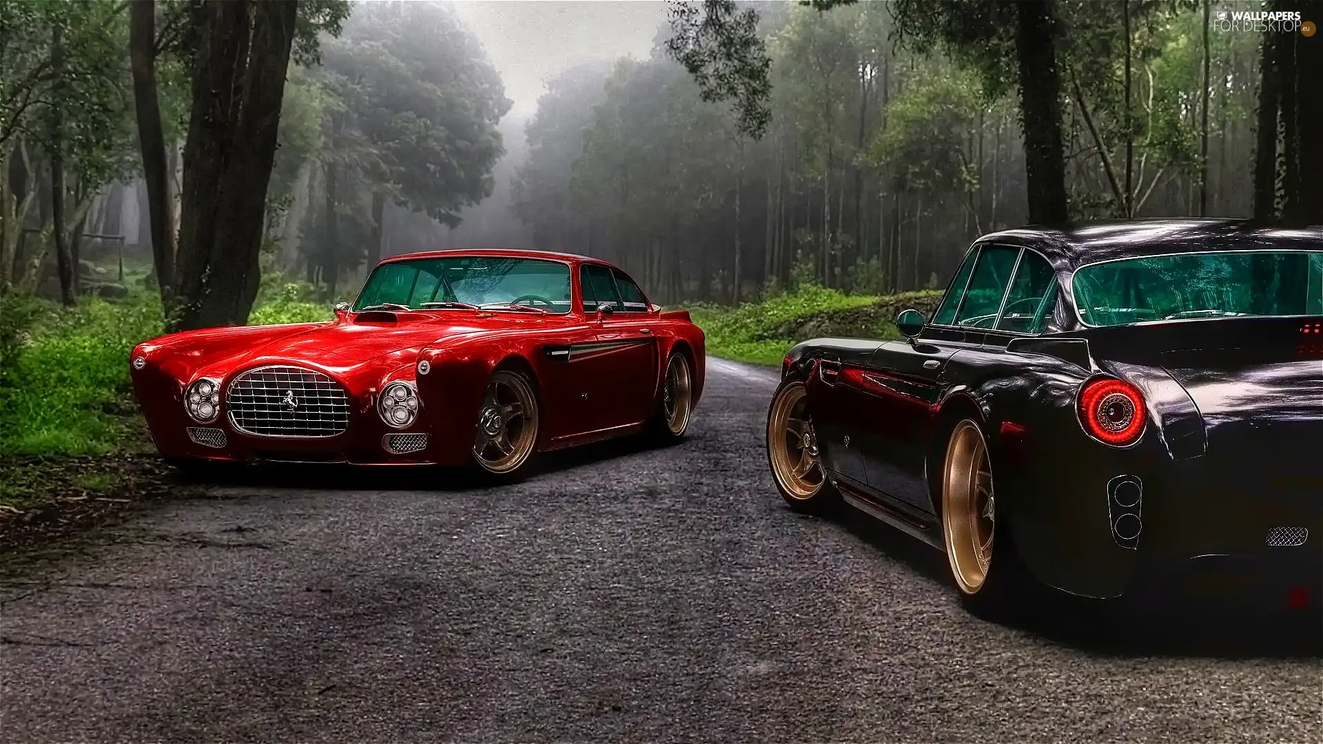 Hot Rods, forest