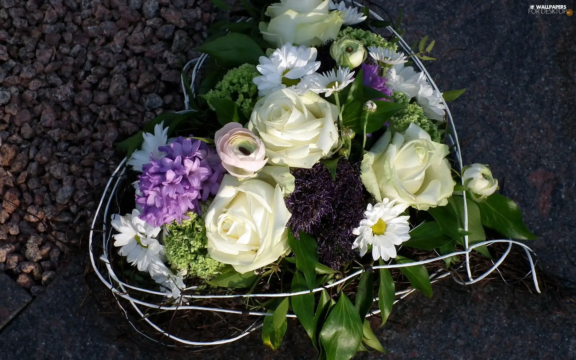 Heart, hyacinth, Margaret, Flowers, Valentine