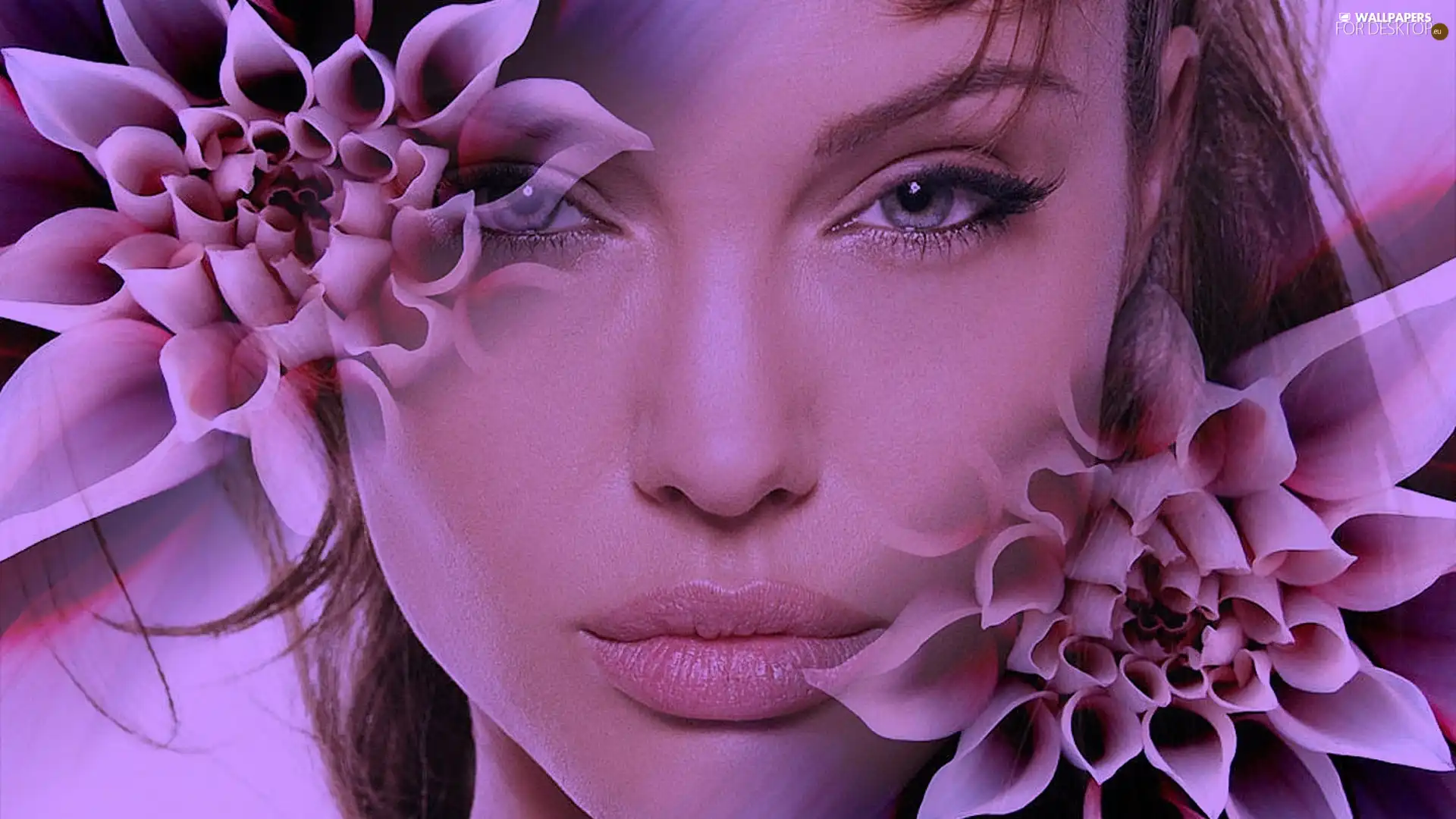 Flowers, Angelina Jolie