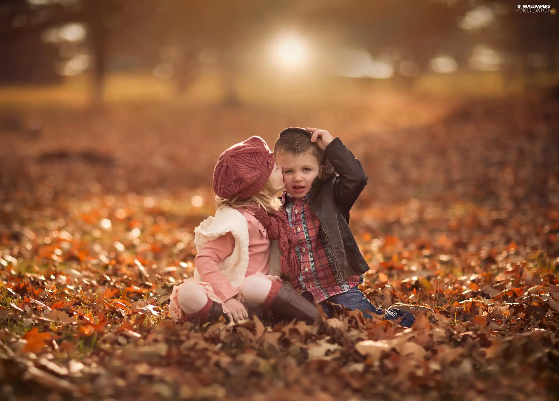 autumn, Leaf, Kids, Park