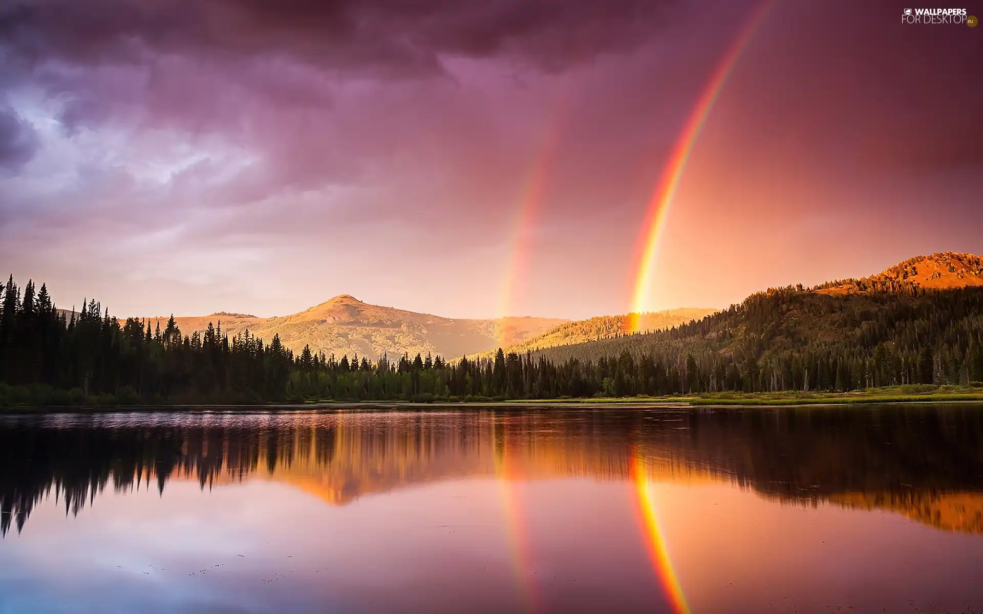 lake, Great Rainbows, forest, forest, Mountains