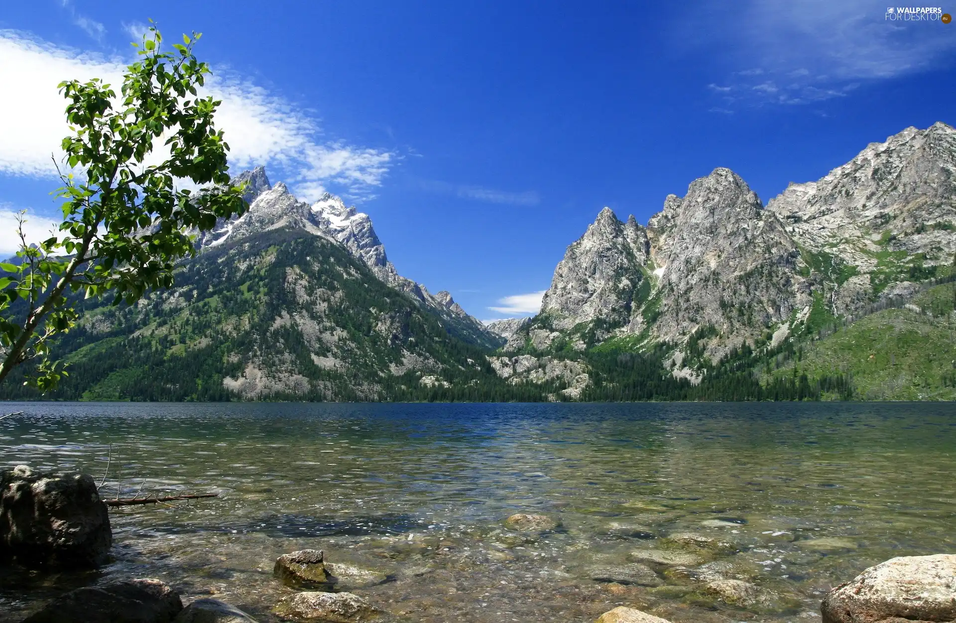Wooded, Mountains, lake, forest
