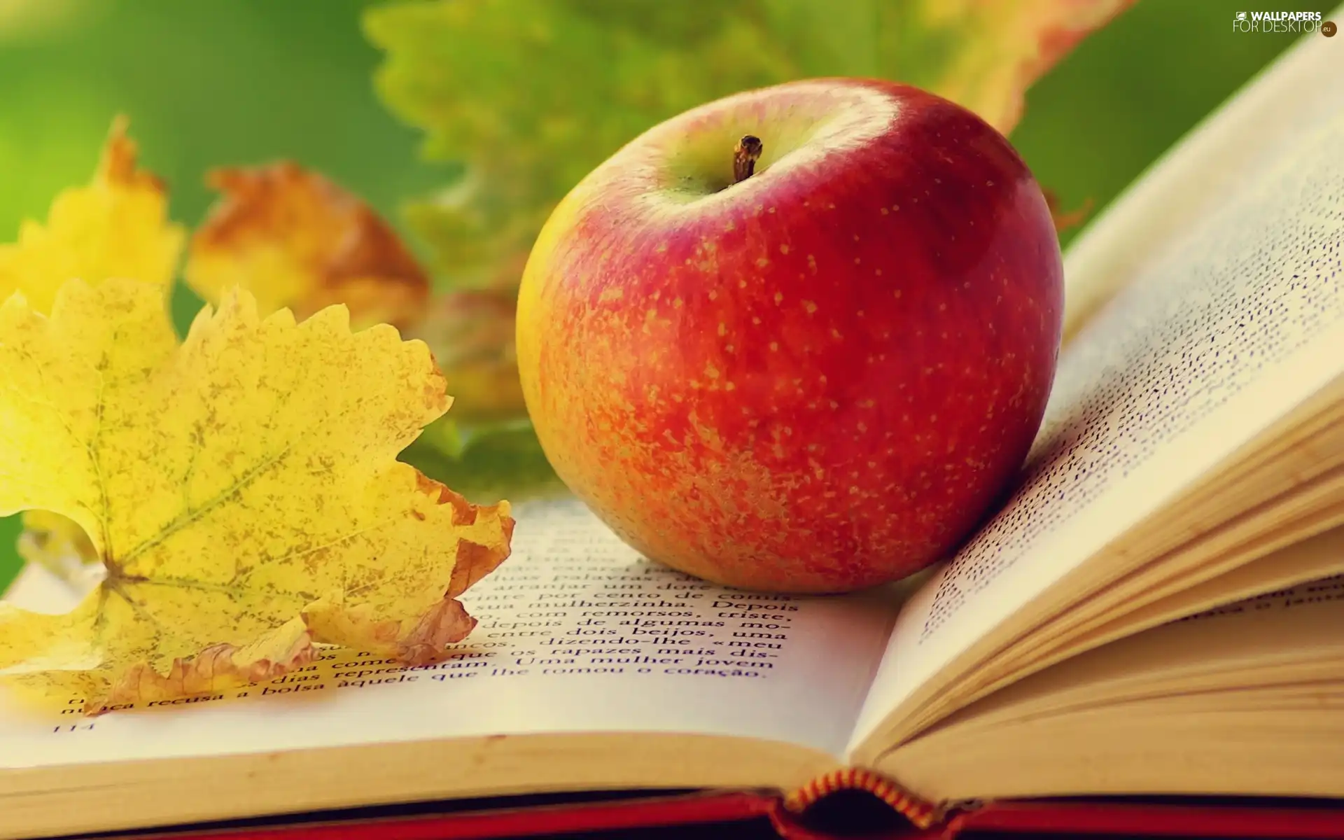 Apple, Autumn, leaf, Book