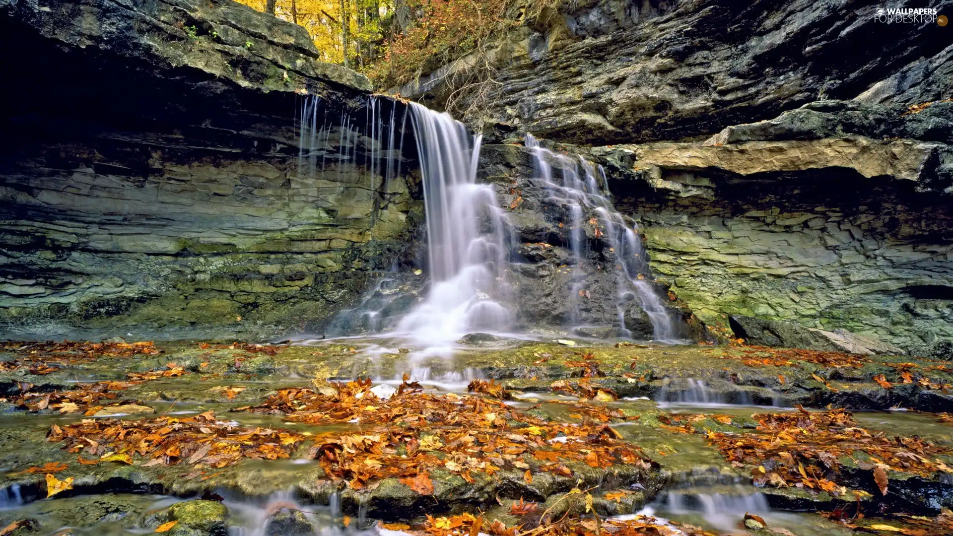 Leaf, autumn, rocks, forest, waterfall