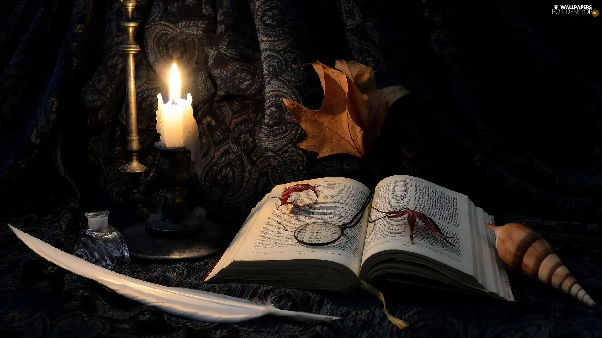 Candle, composition, shell, Leaf, pen, Book