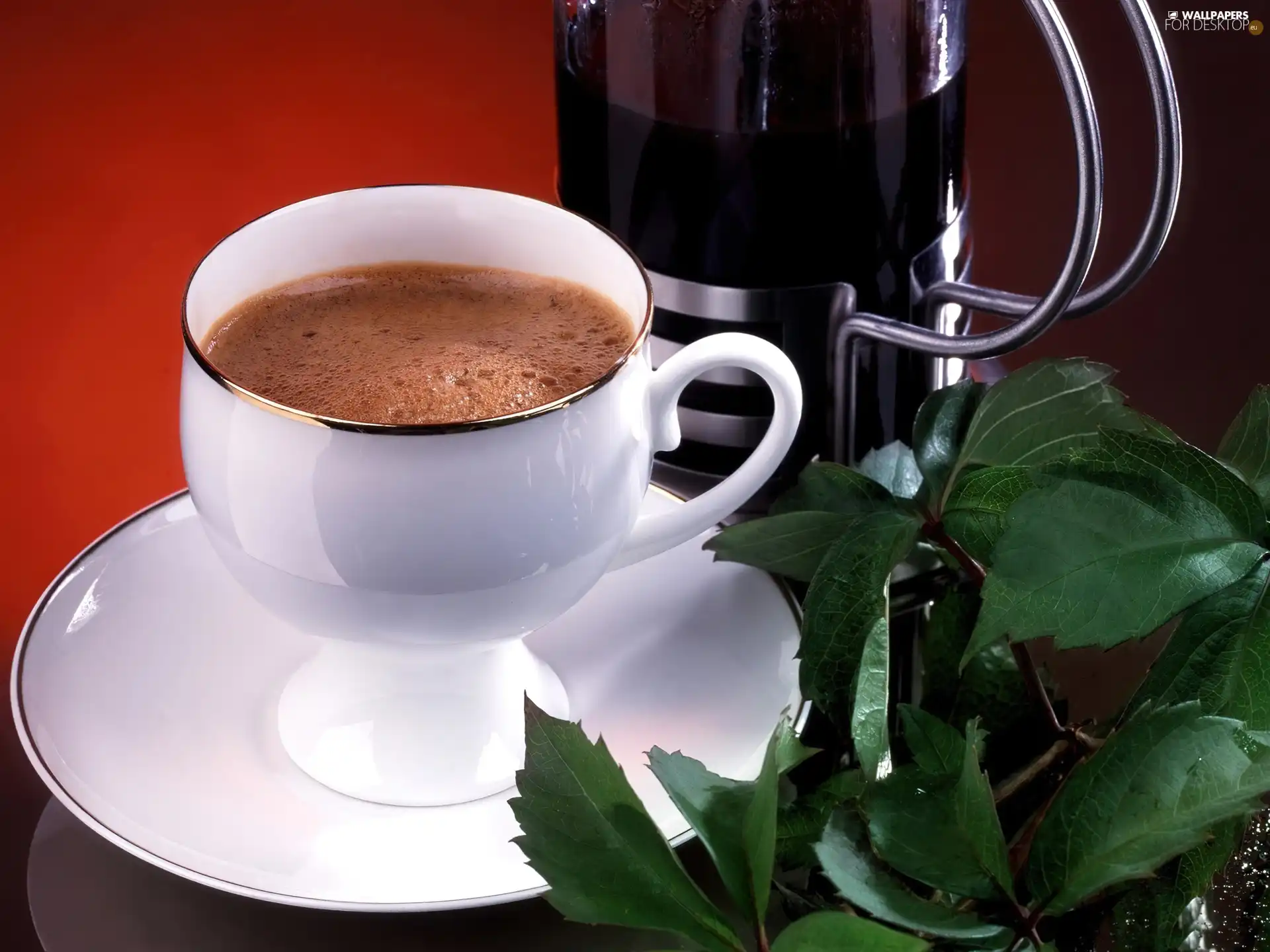 Espresso, coffee, Leaf, cup