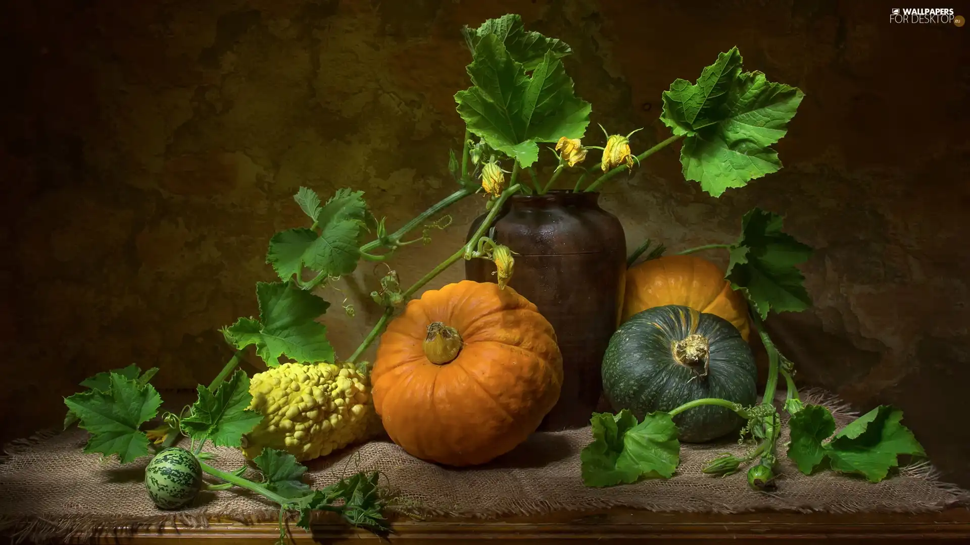 Leaf, pumpkin, Vase
