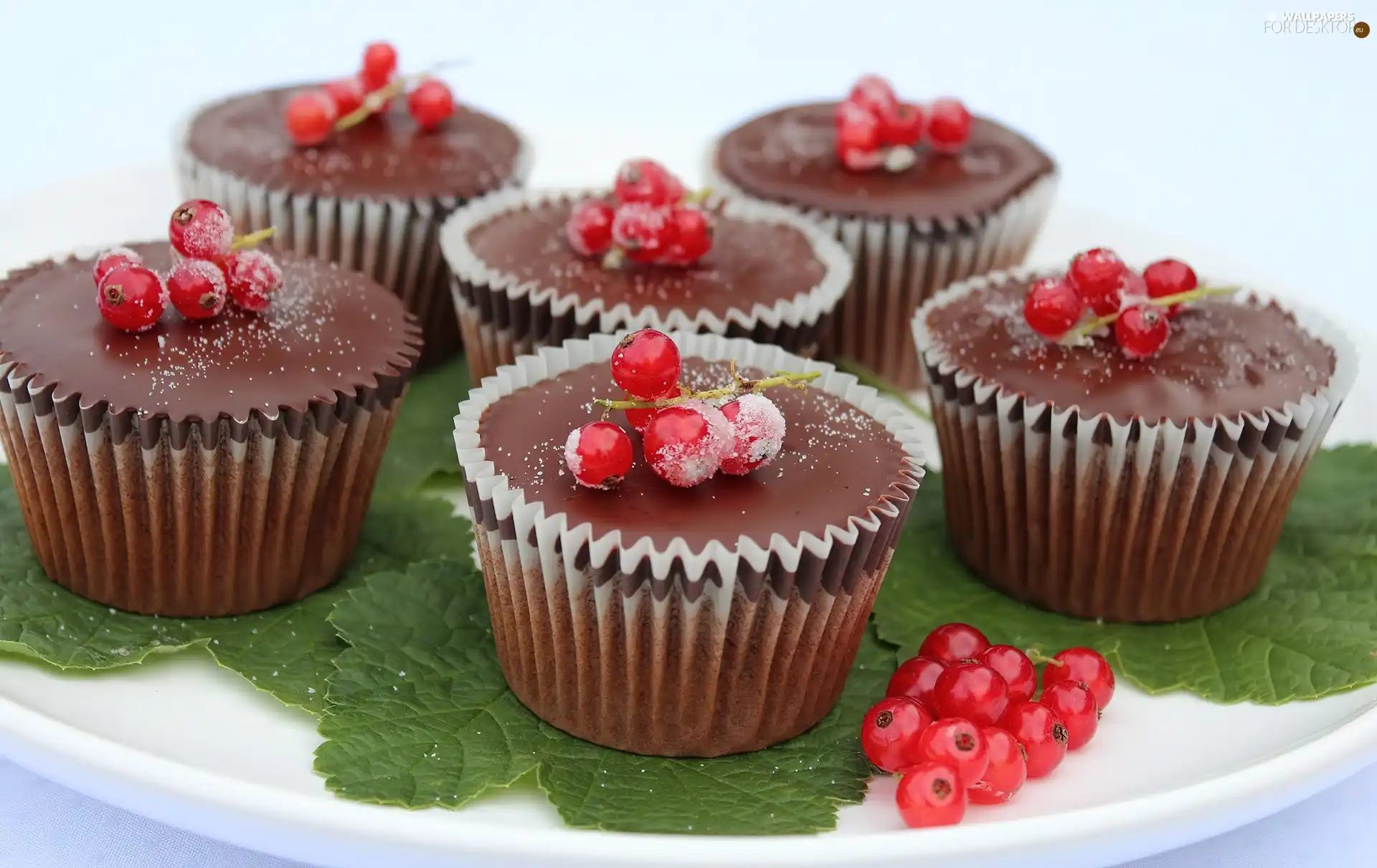 Muffins, currants, leaves, chocolate