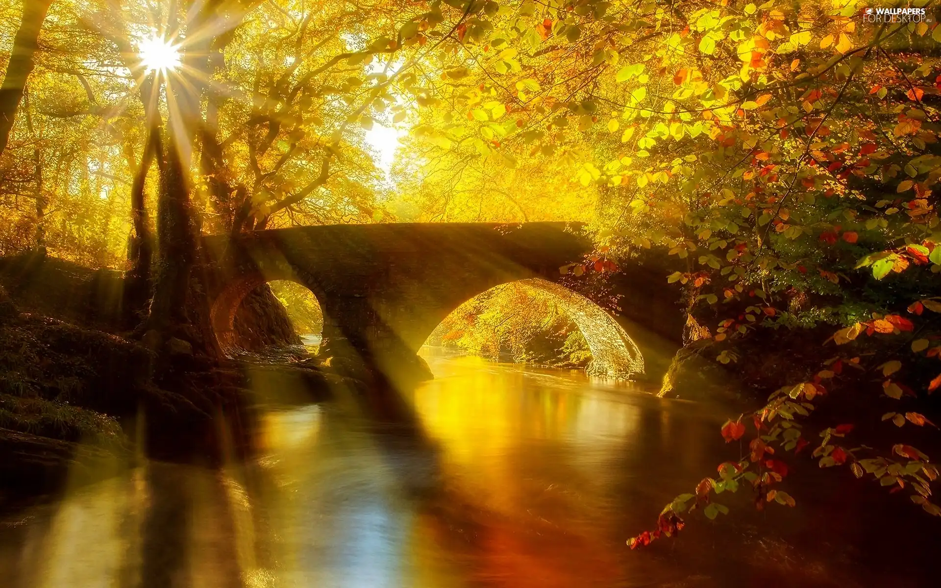 Przebijające, ligh, autumn, sun, luminosity, bridge, River, flash