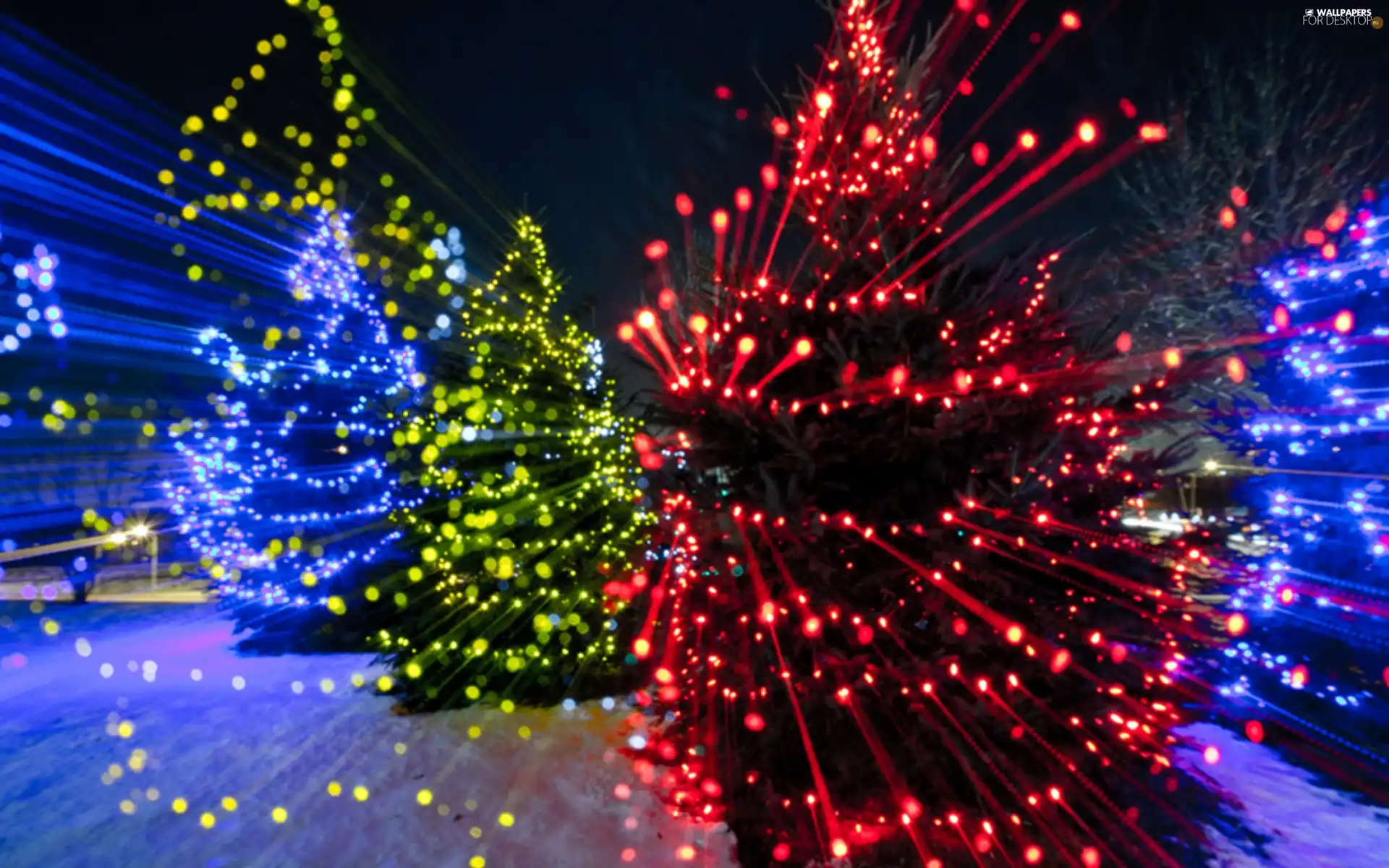 Christmas, color, lights, Christmas