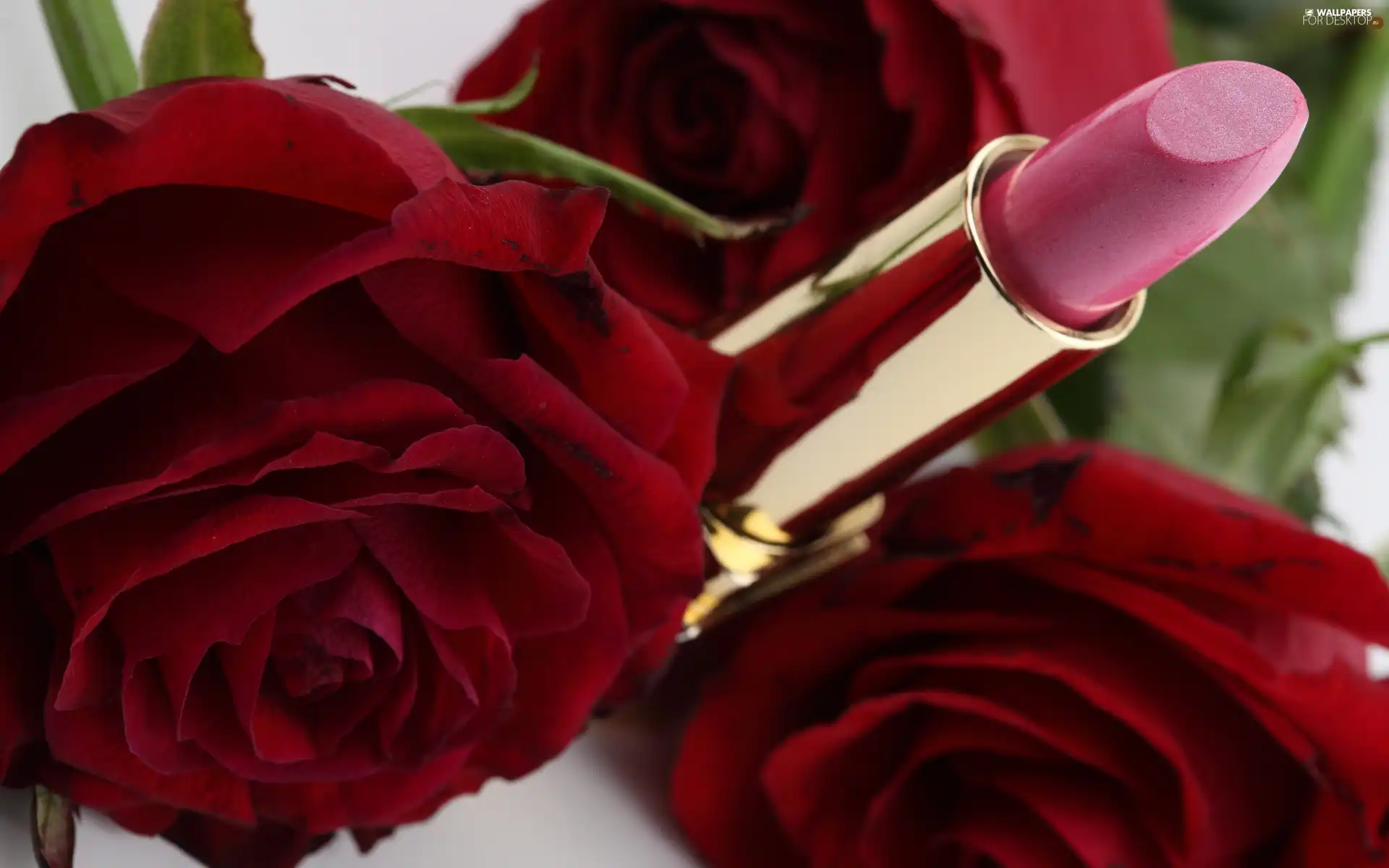 lipstick, Red, roses