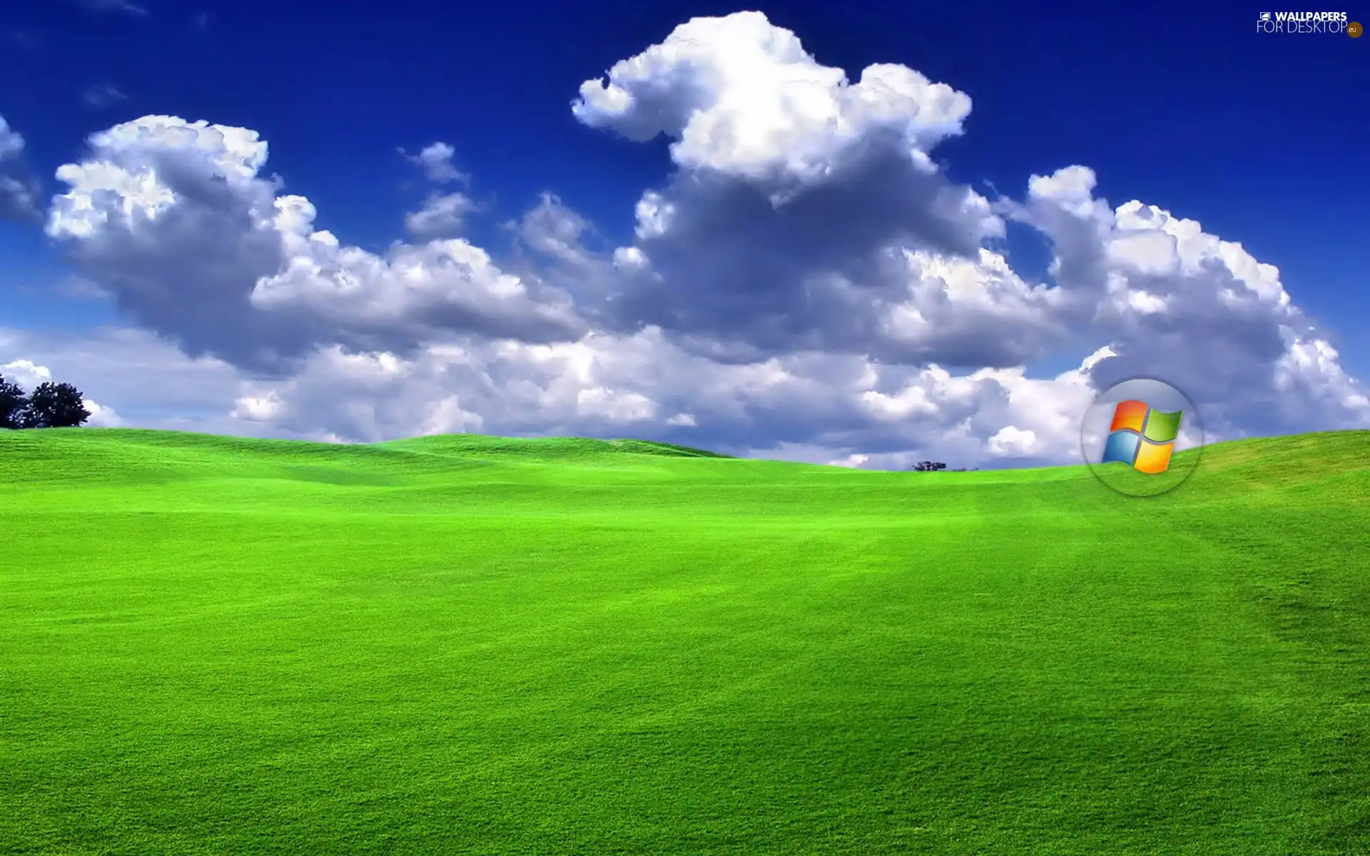 windows, clouds, logo, Meadow