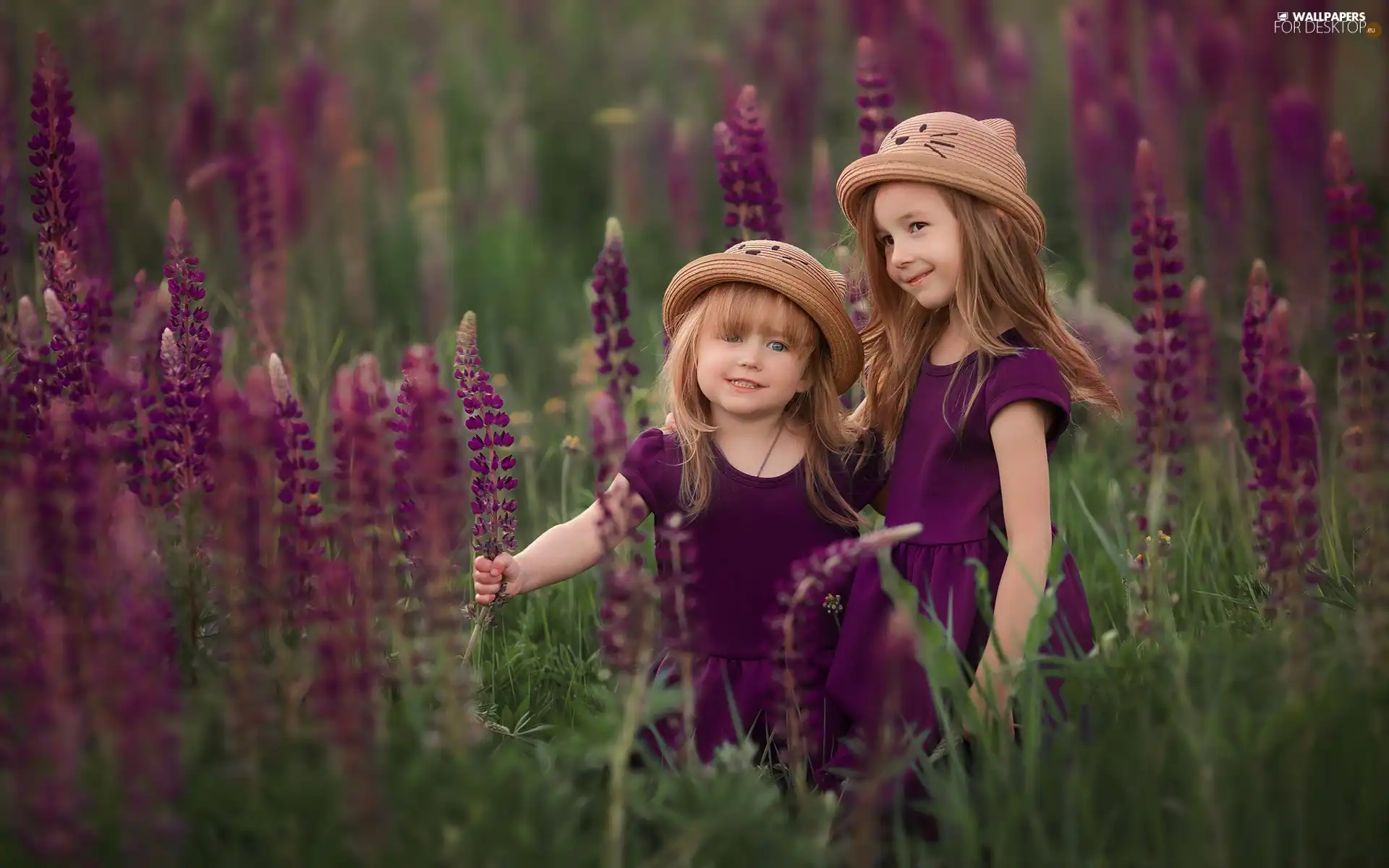 hats, Two, Flowers, lupine, Meadow, girls