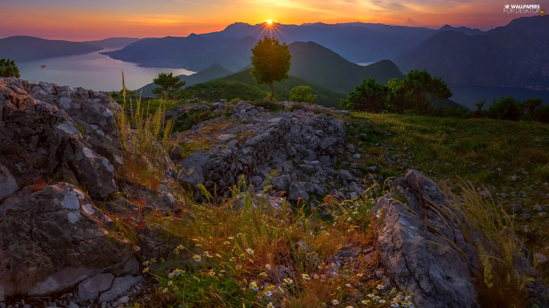 rocks, Sunrise, VEGETATION, Montenegro, River, Mountains
