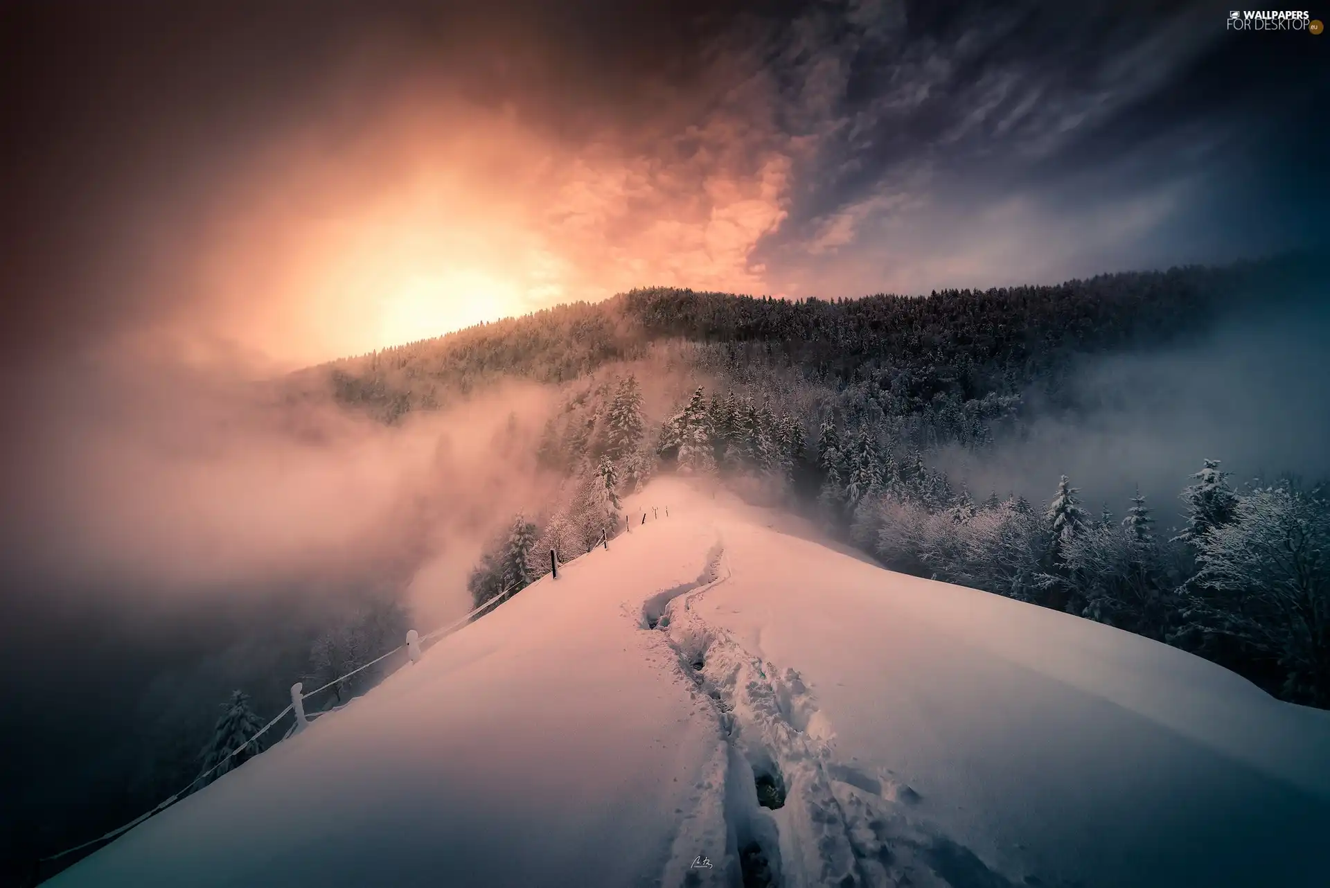 Mountains, winter, trees, viewes, snow, traces, Great Sunsets, Fog, fence